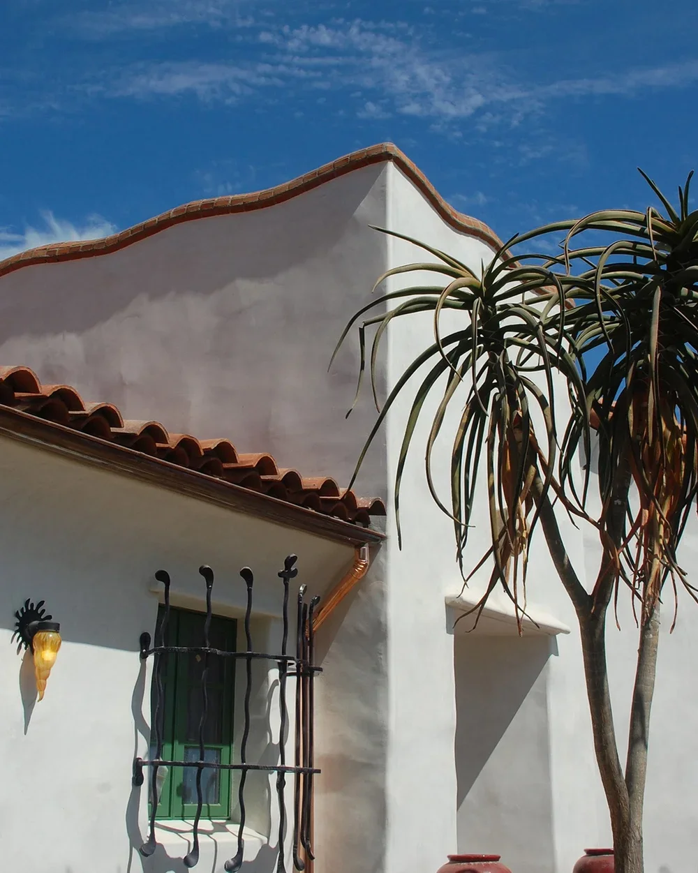 Arbolado_Exterior1017+IG.webp