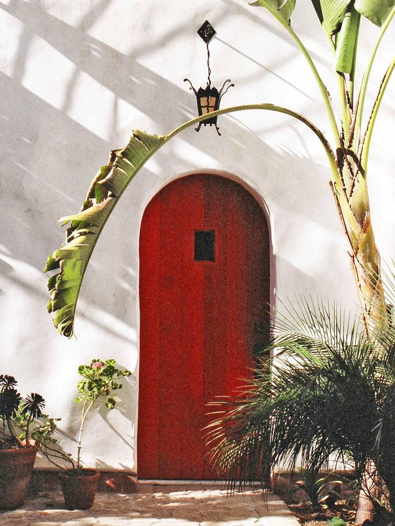 Cota Street Studios_Exterior1011 cropped.jpg