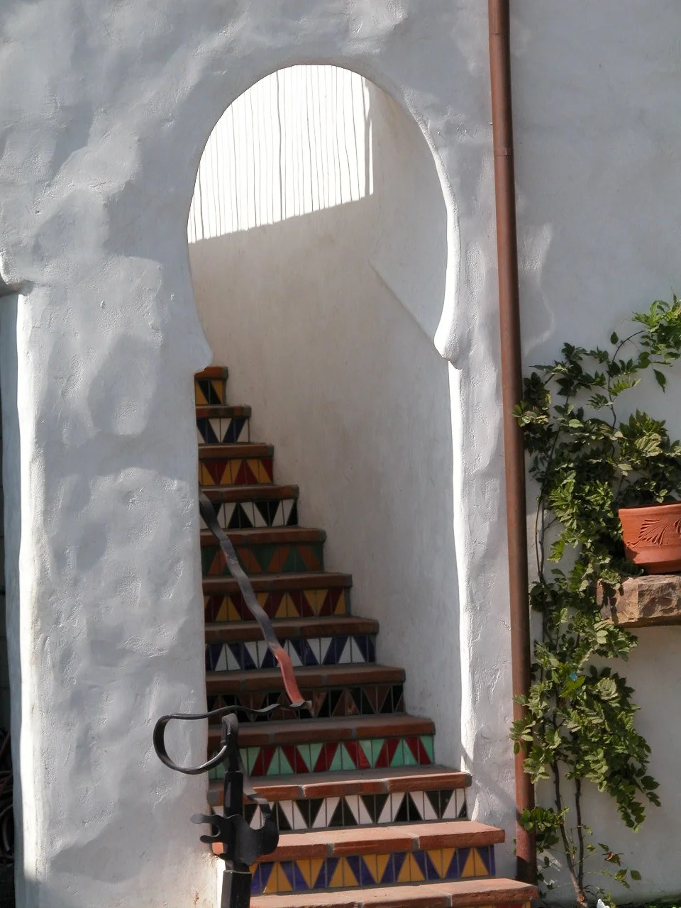 Valencia Tree & Landscape1015.JPG