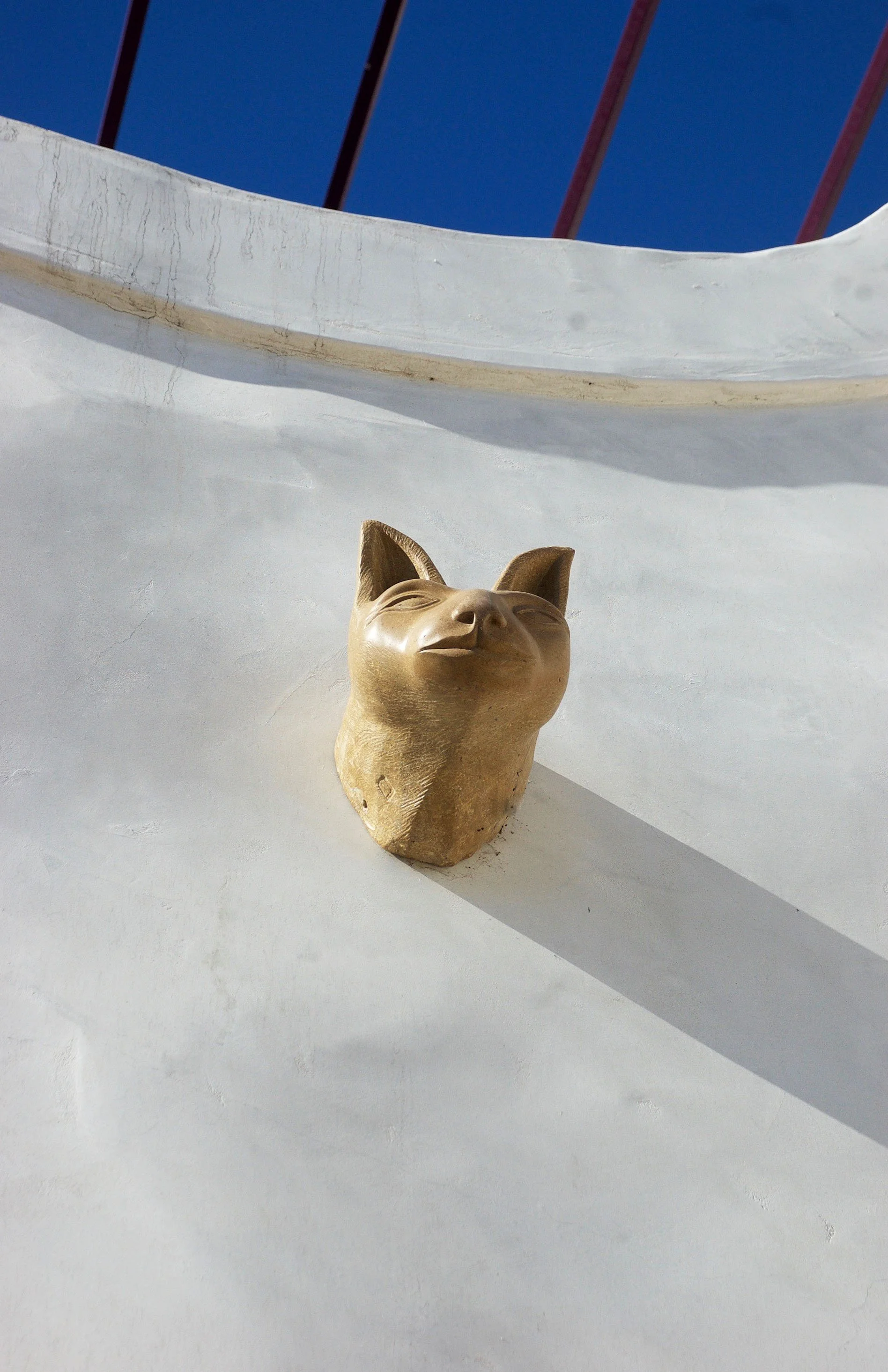 animal head closeup - Copy.jpg