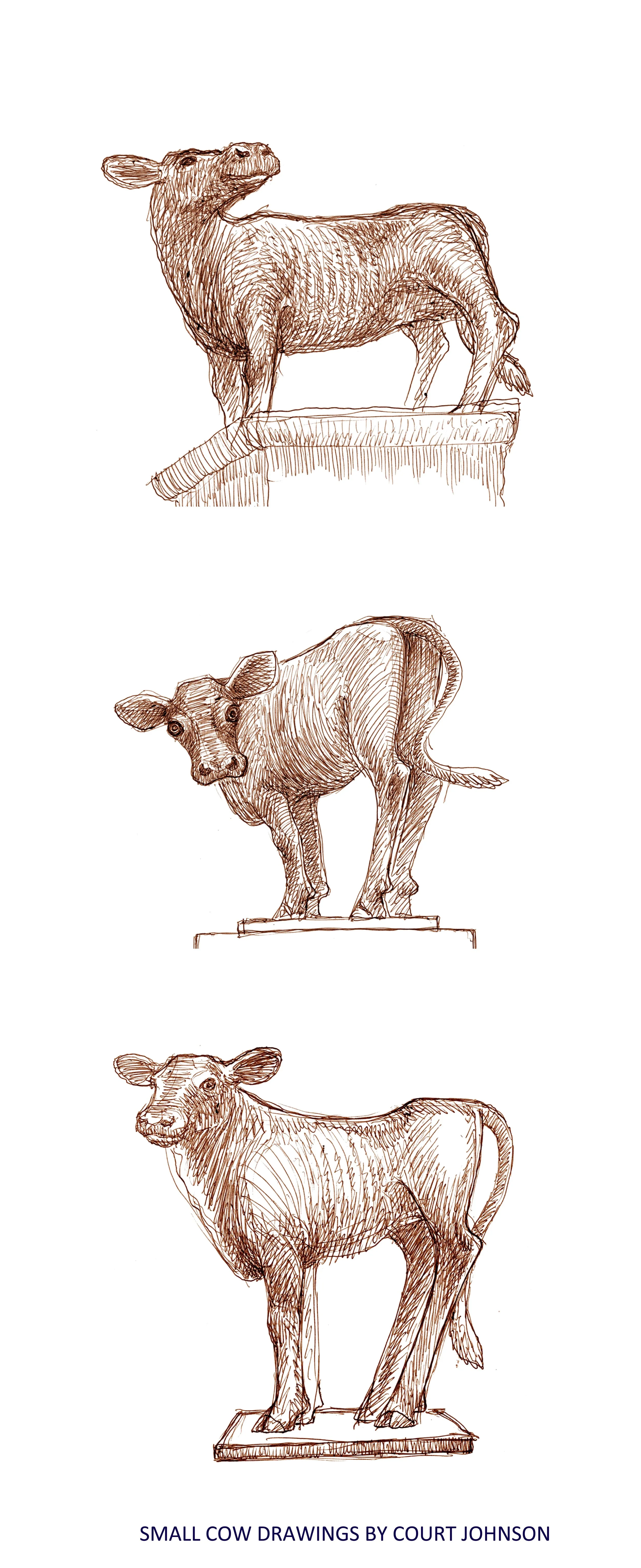 Small Cow_Drawing1001.jpg