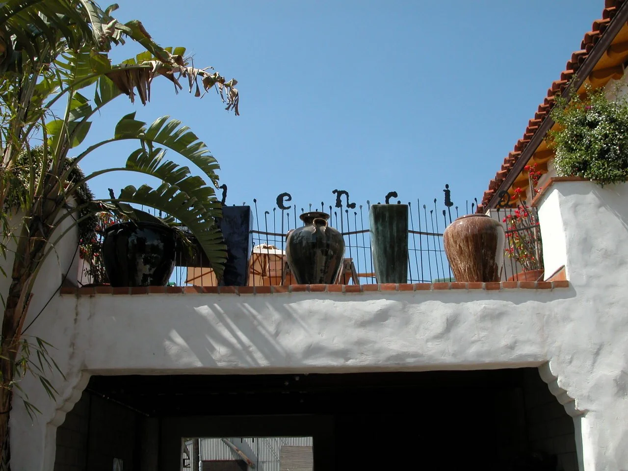 Valencia Tree & Landscape1017.JPG