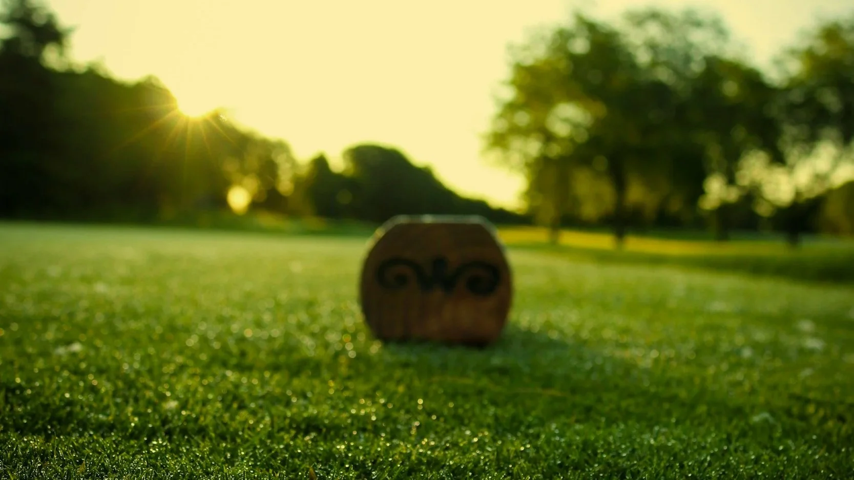  Tee boxes are the first stop to enjoying a round of golf. Pick the wrong tees and you’ll spend 4+ hours losing balls and chasing bogeys. 