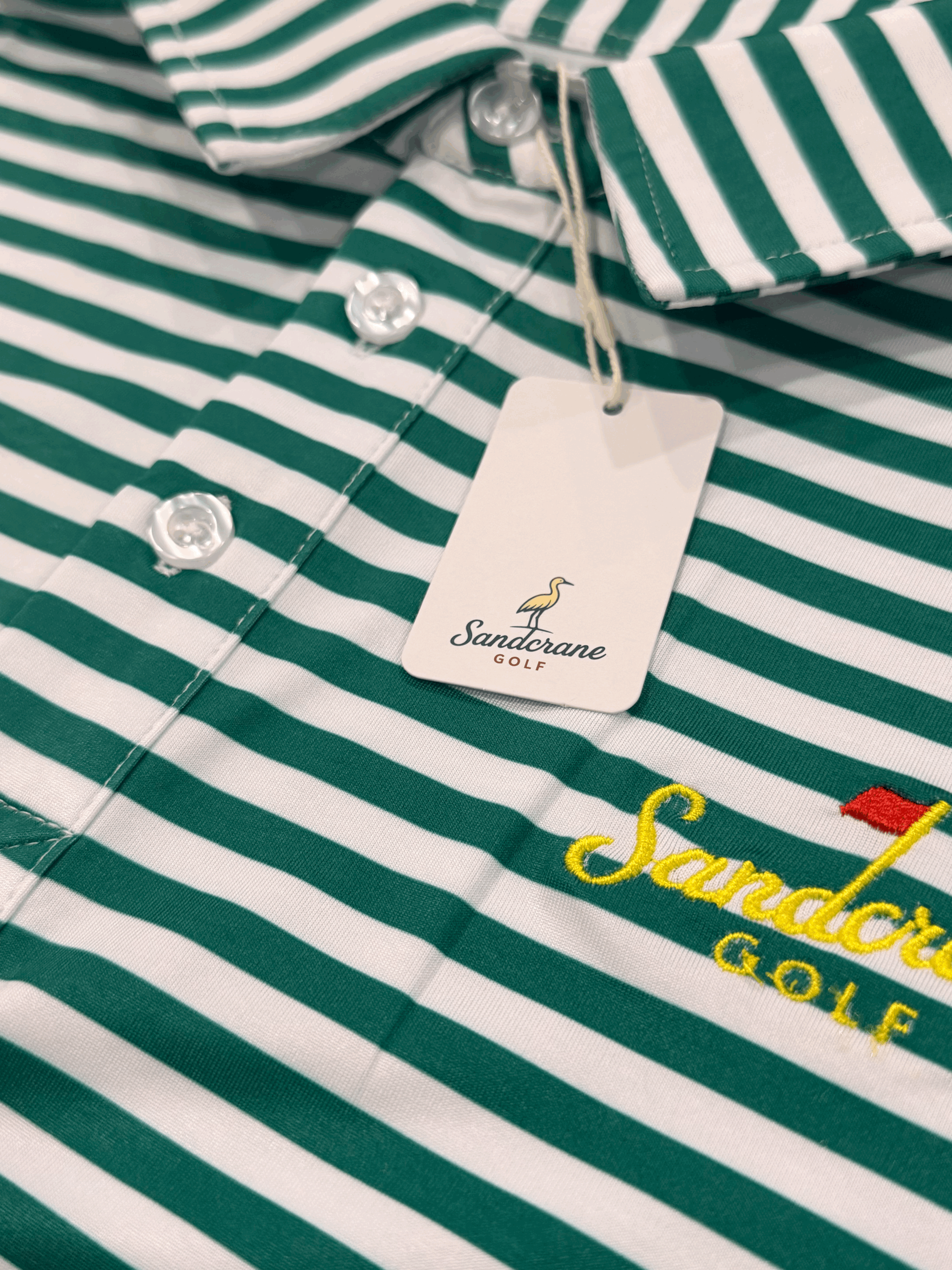 tempImagedAJyTJ.gif (Copy)