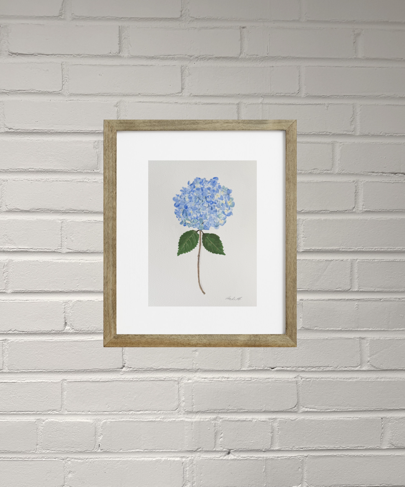 Hydrangea.png
