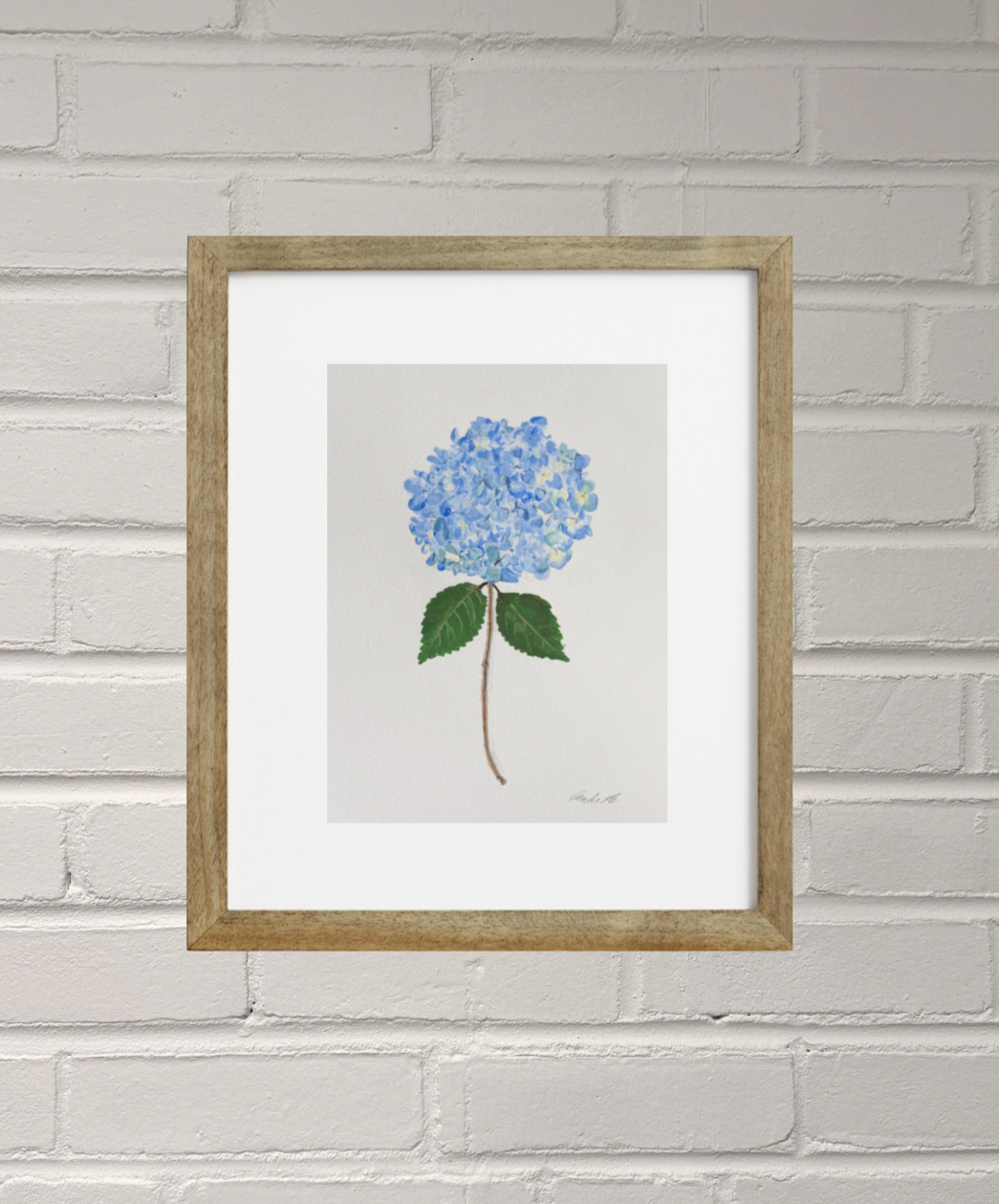 Hydrangea