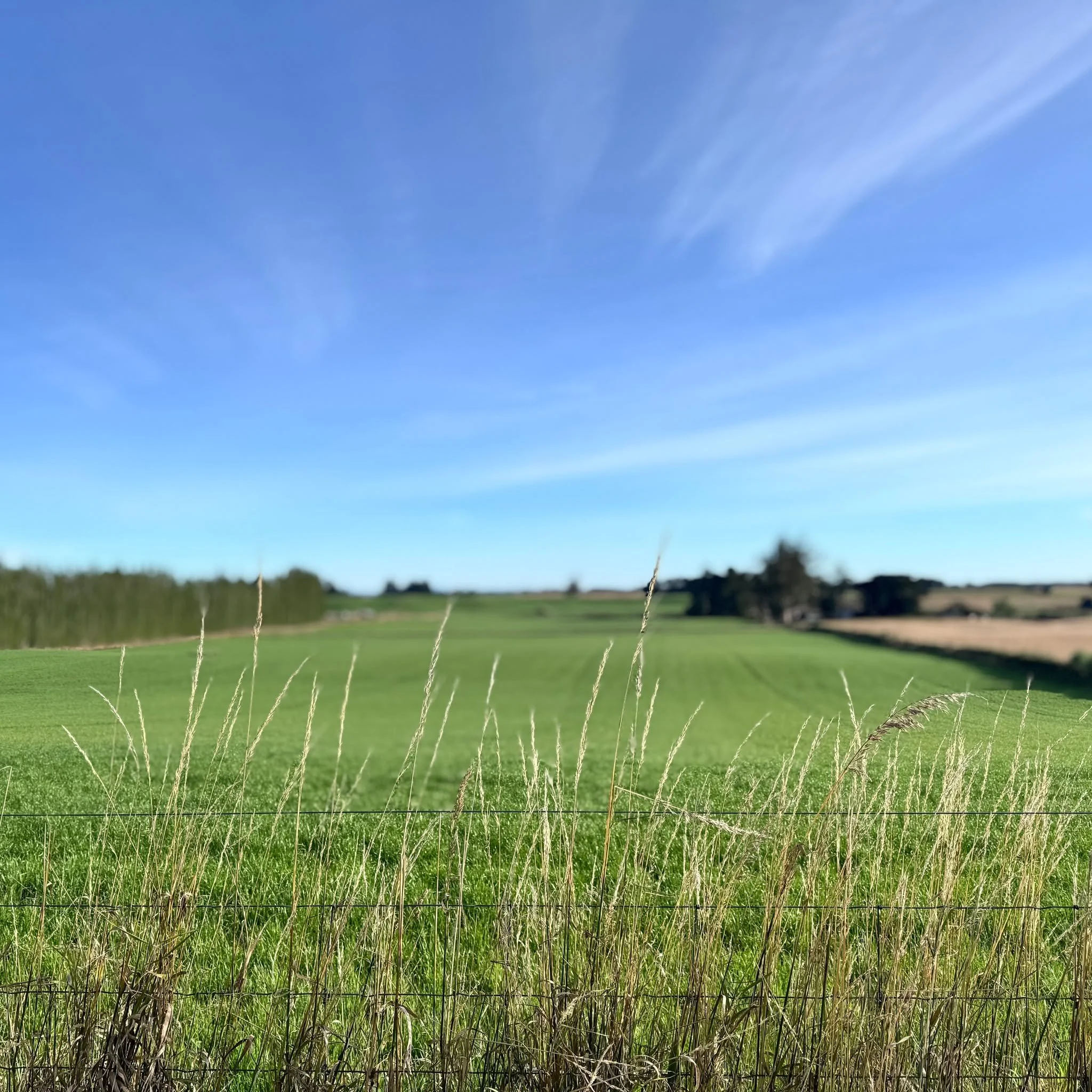 Get the washing out.

#waimatenz #districtlifenz