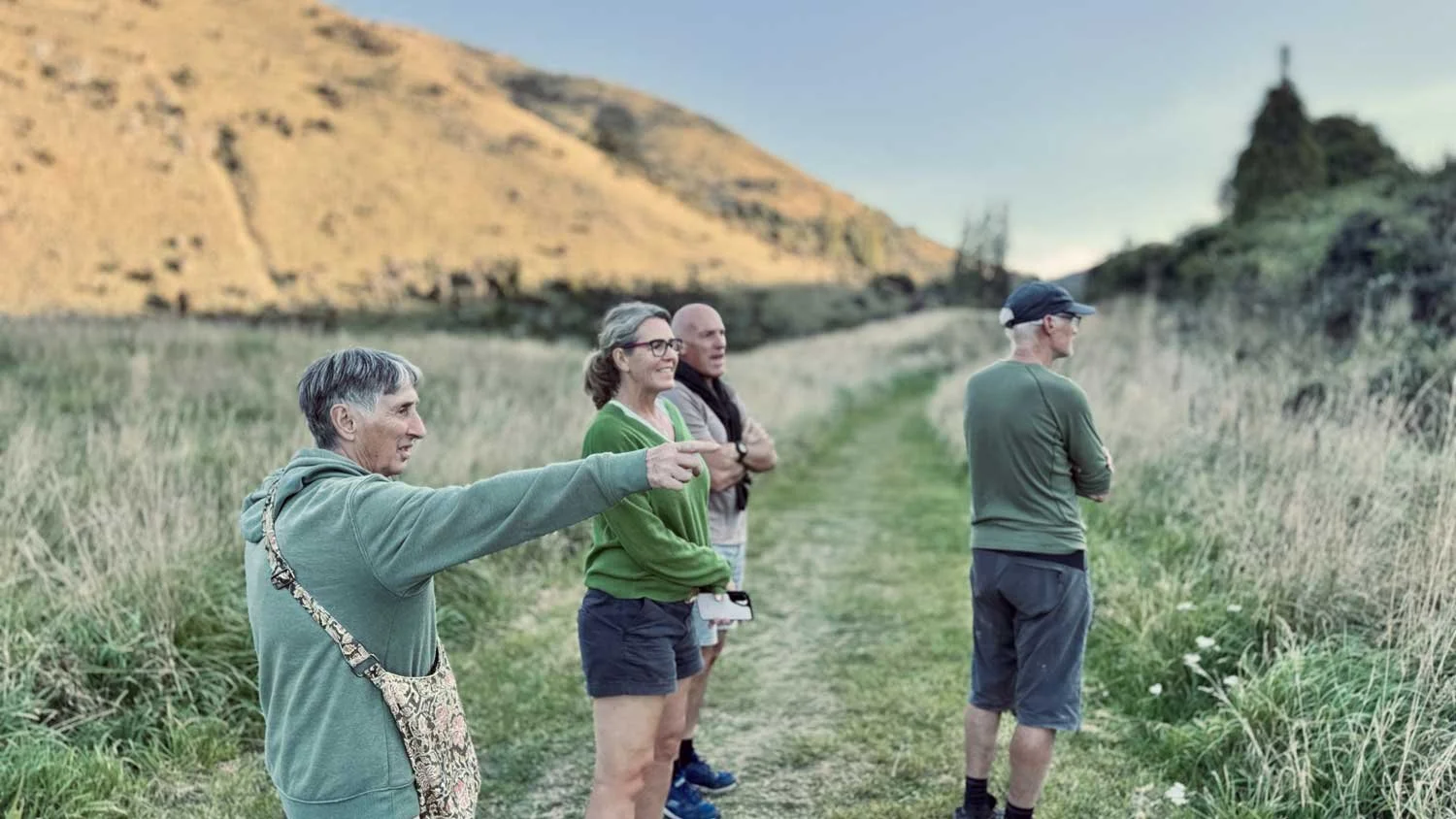 Wallabies on notice as funding secured for 9km Studholme Bush fence