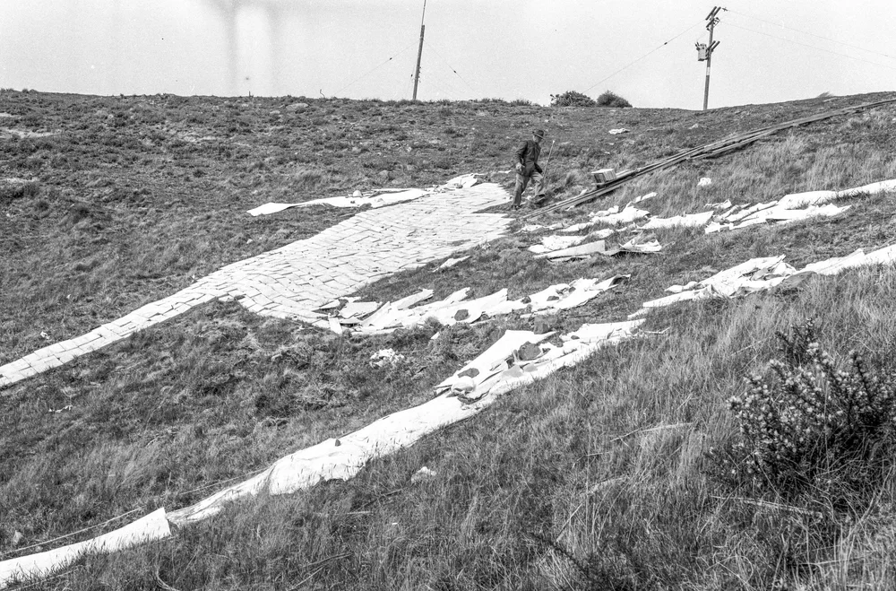 How Waimate got its White Horse