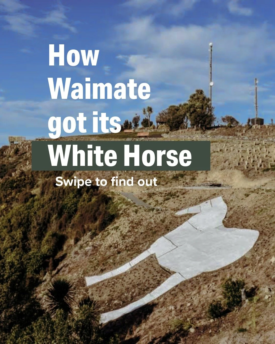 Ever wondered how Waimate got its White Horse?

Swipe to learn more - read the full story at districtlife.co.nz.

#waimatenz #districtlifenz #southcanterburynz