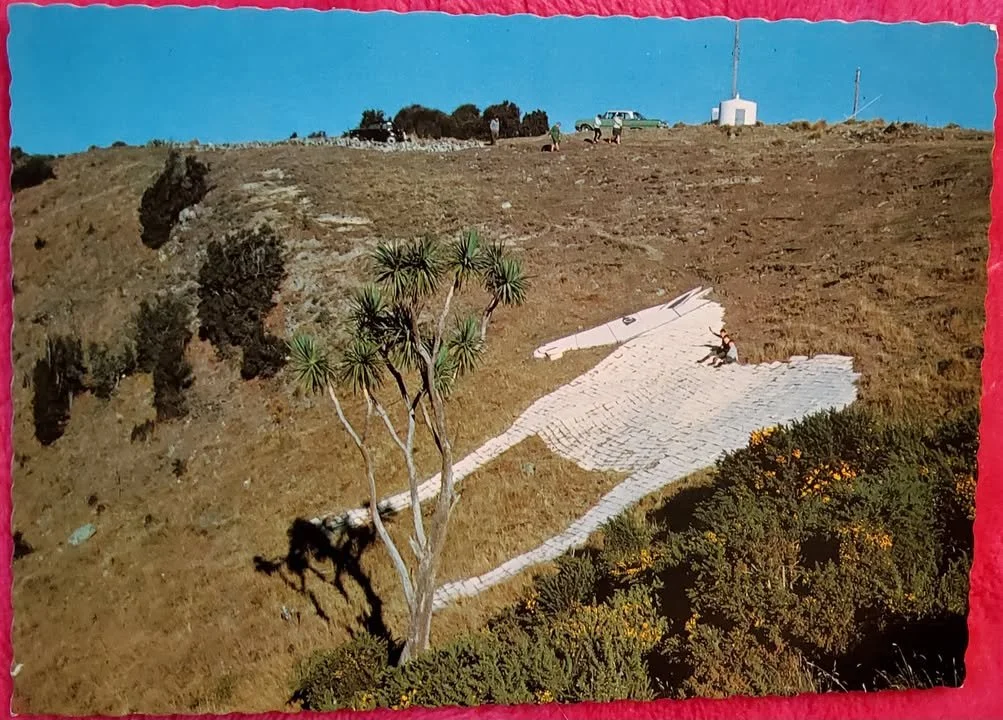 Here's one from the archives.

Maureen McNamara shared this postcard with us, she found it in a box of her mother's things. Thanks Maureen!

We're guessing the photo was taken between 1968 and 1973 and it shows how the horse looked when it was first 