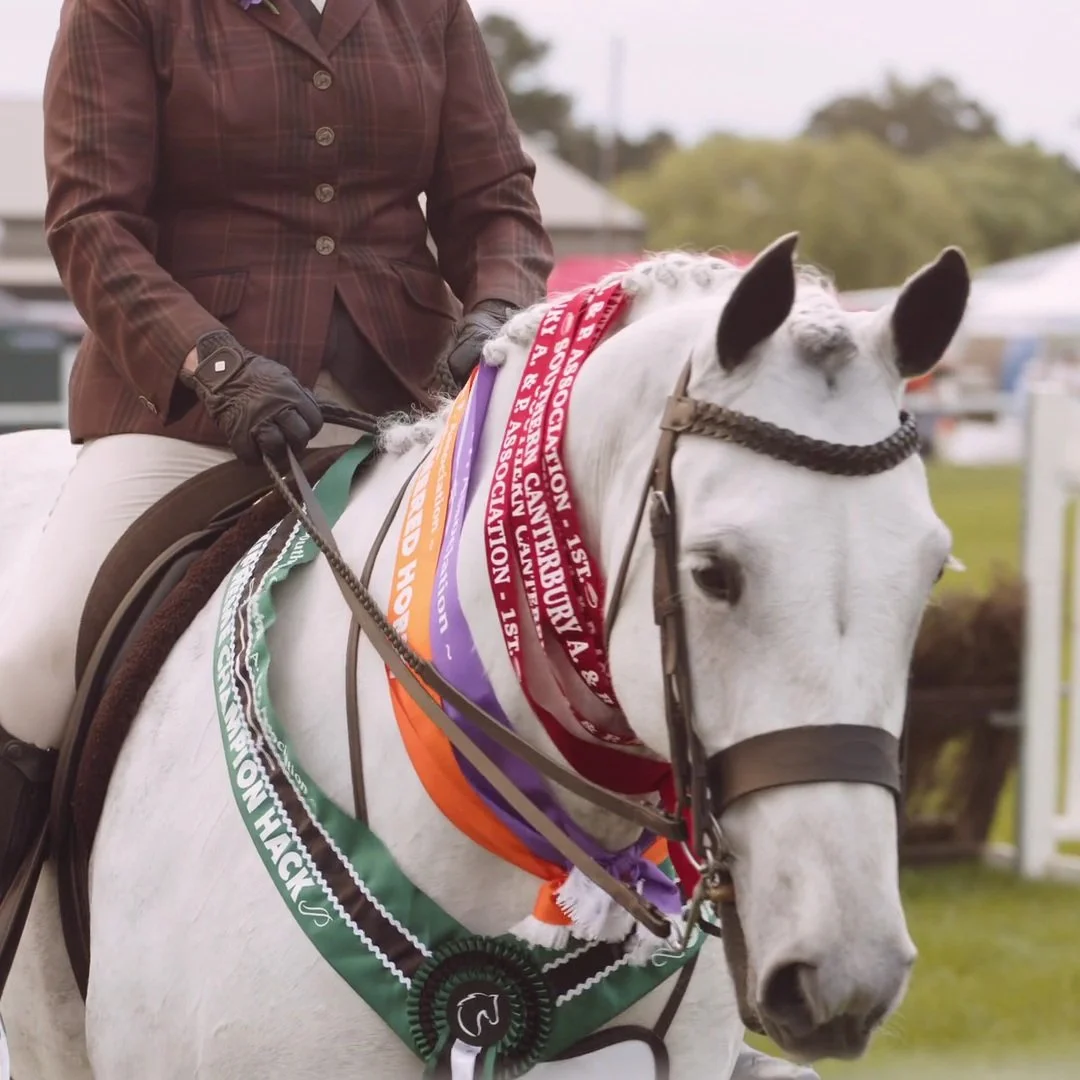 RATTLE YOUR DAGS.

That's the theme of this year's Southern Canterbury A&amp;P Show.

In 2011 the Timaru and Waimate shows amalgamated into the Southern Canterbury A&amp;P Show, now held in Waimate each year.

It's a great place to catch up, there's 