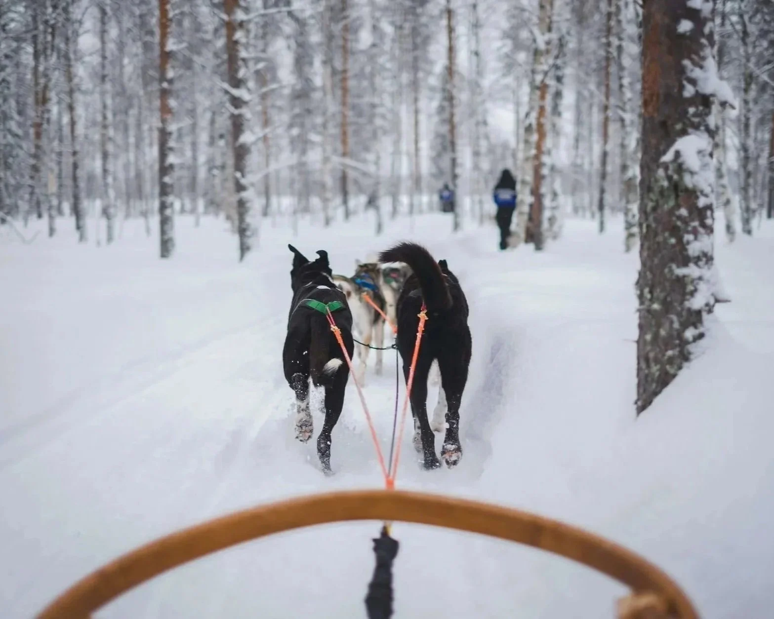 Winter Snow Holidays for Non-Skiers in Europe