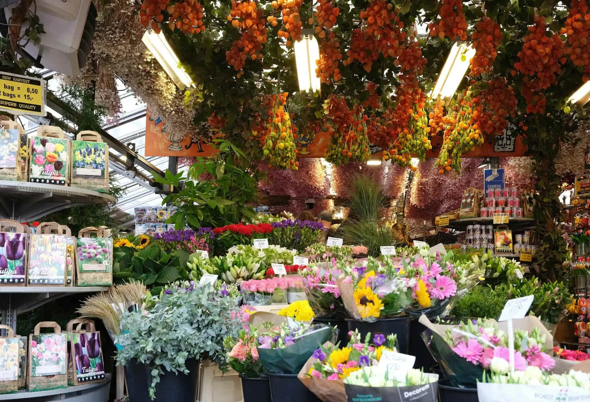 The Bloemenmarkt flower market in Amsterdam.