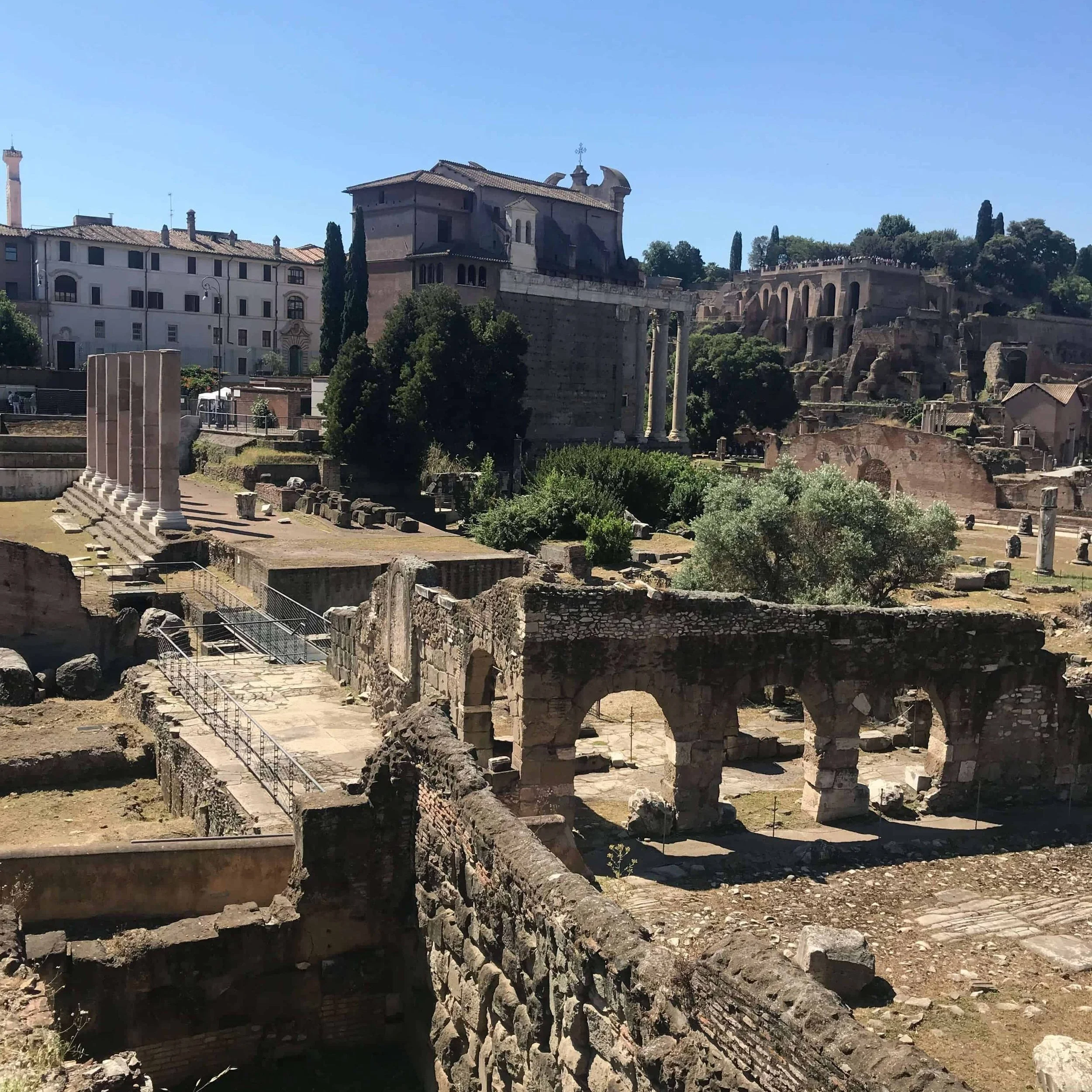 Ruins on the Roman Forum.