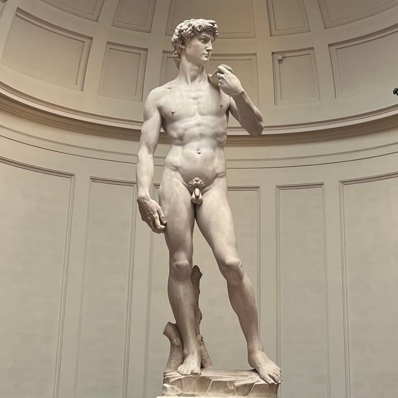Michaelangelo's "David" statue.