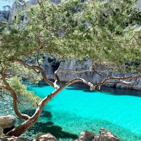 Turquoise blue water in the Calanques in France.