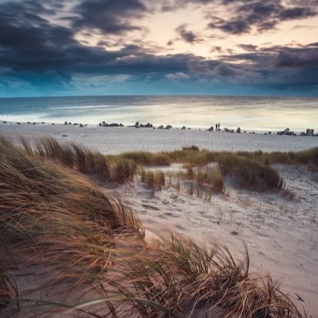 The dunes on Sylt, Germany.
