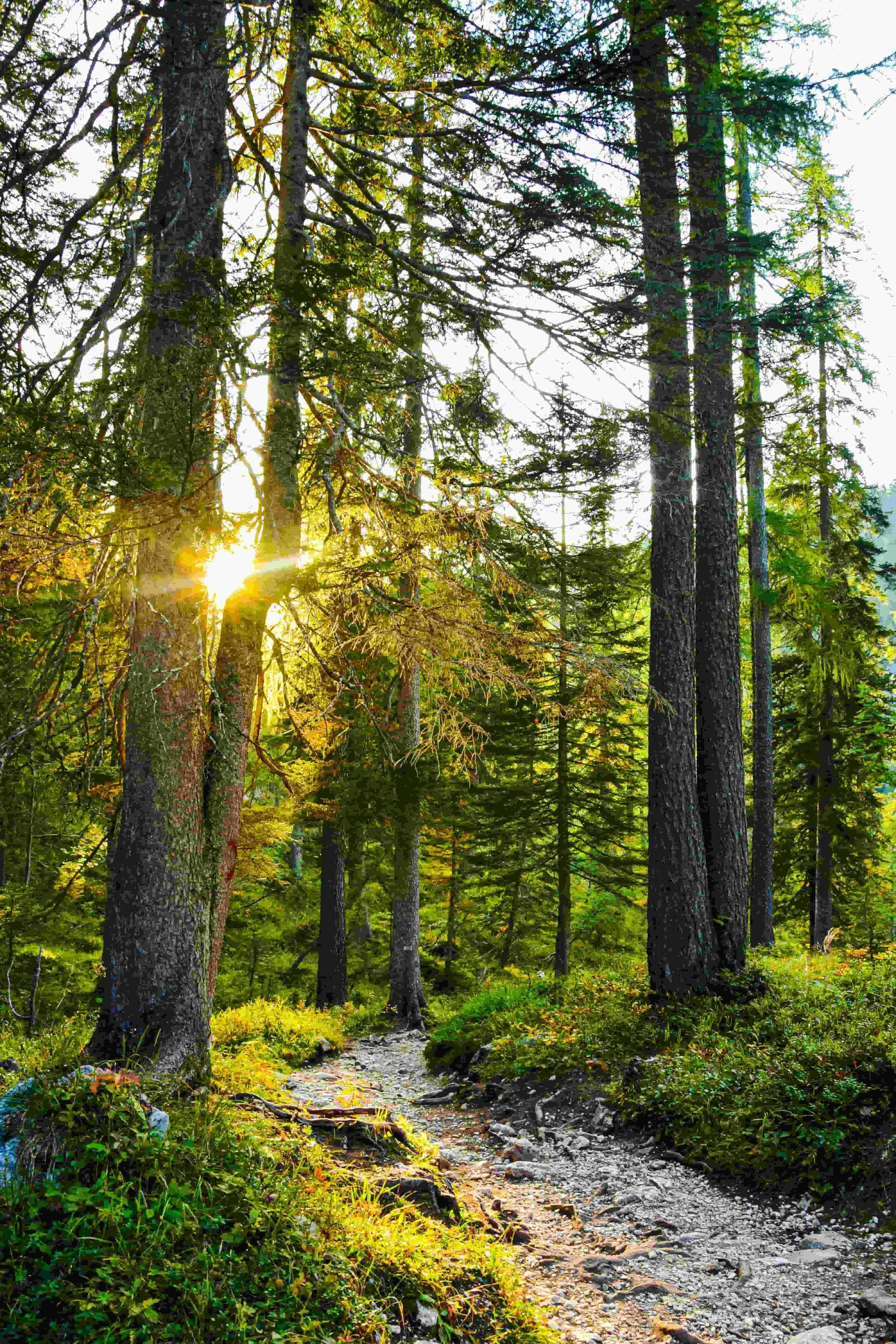 A hiking trail in the Dolomites.