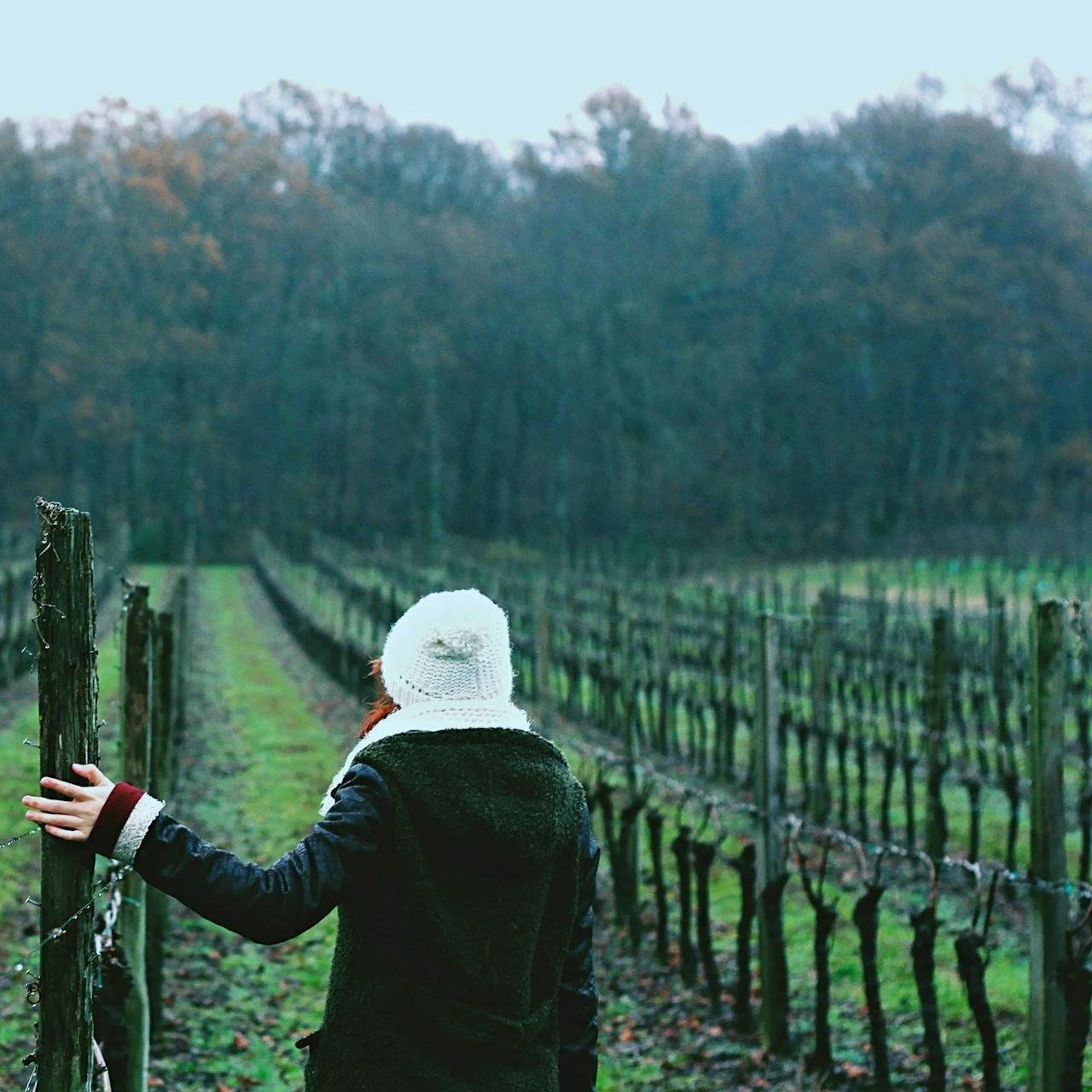 A woman stands in a bare vine row during winter.