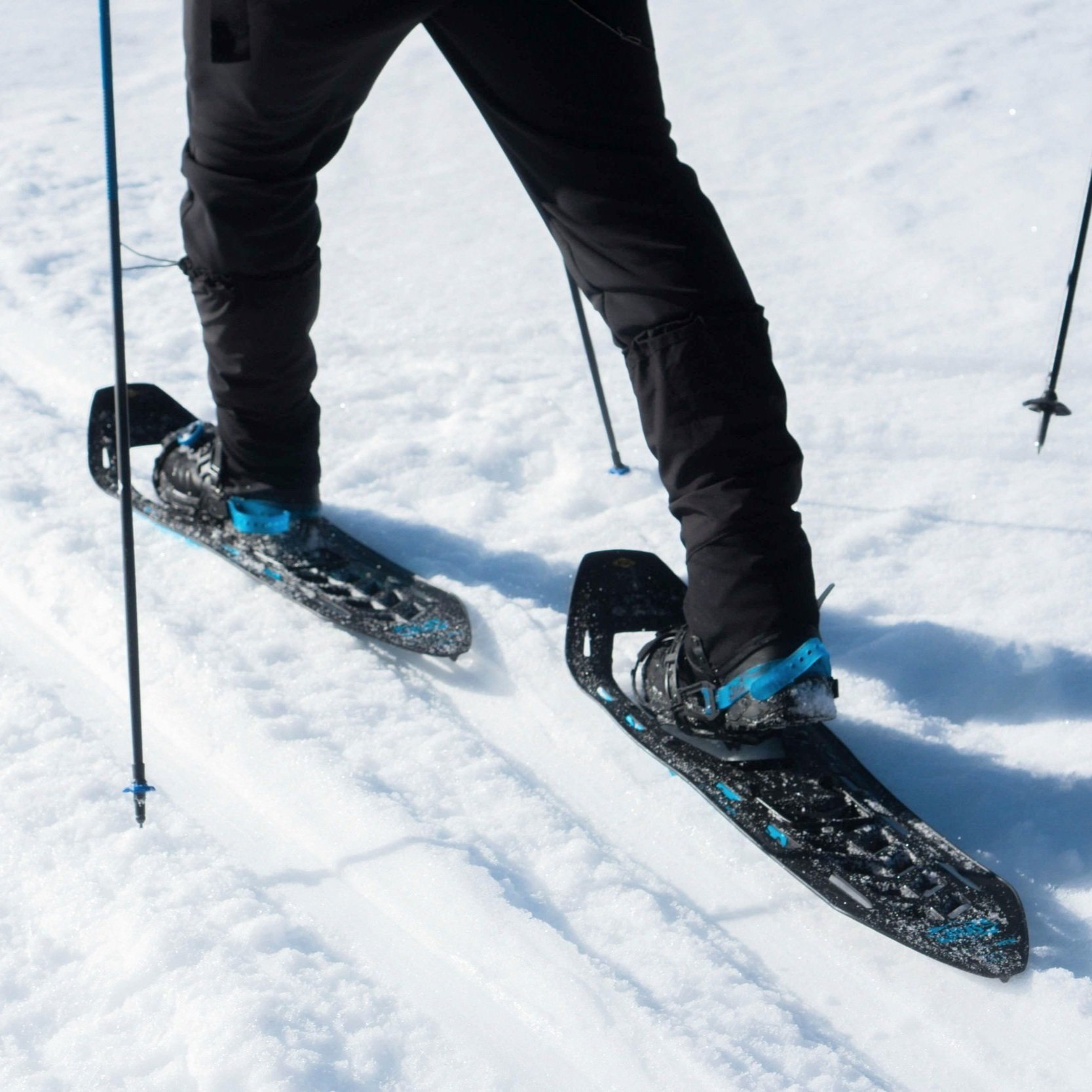 A close-up of snowshoes and poles in action.