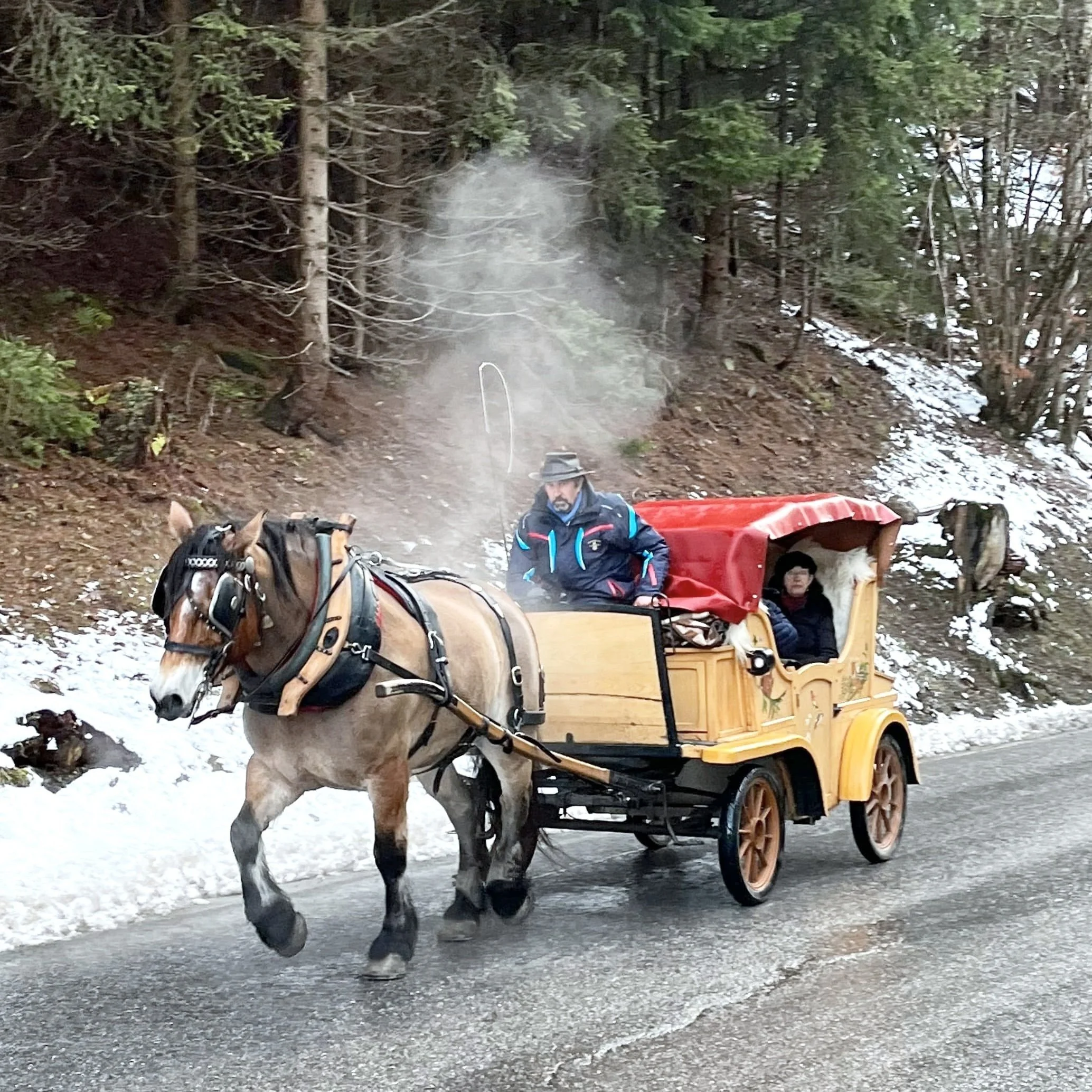 A horse-drawn carriage in the winter resort town of Megève, France.