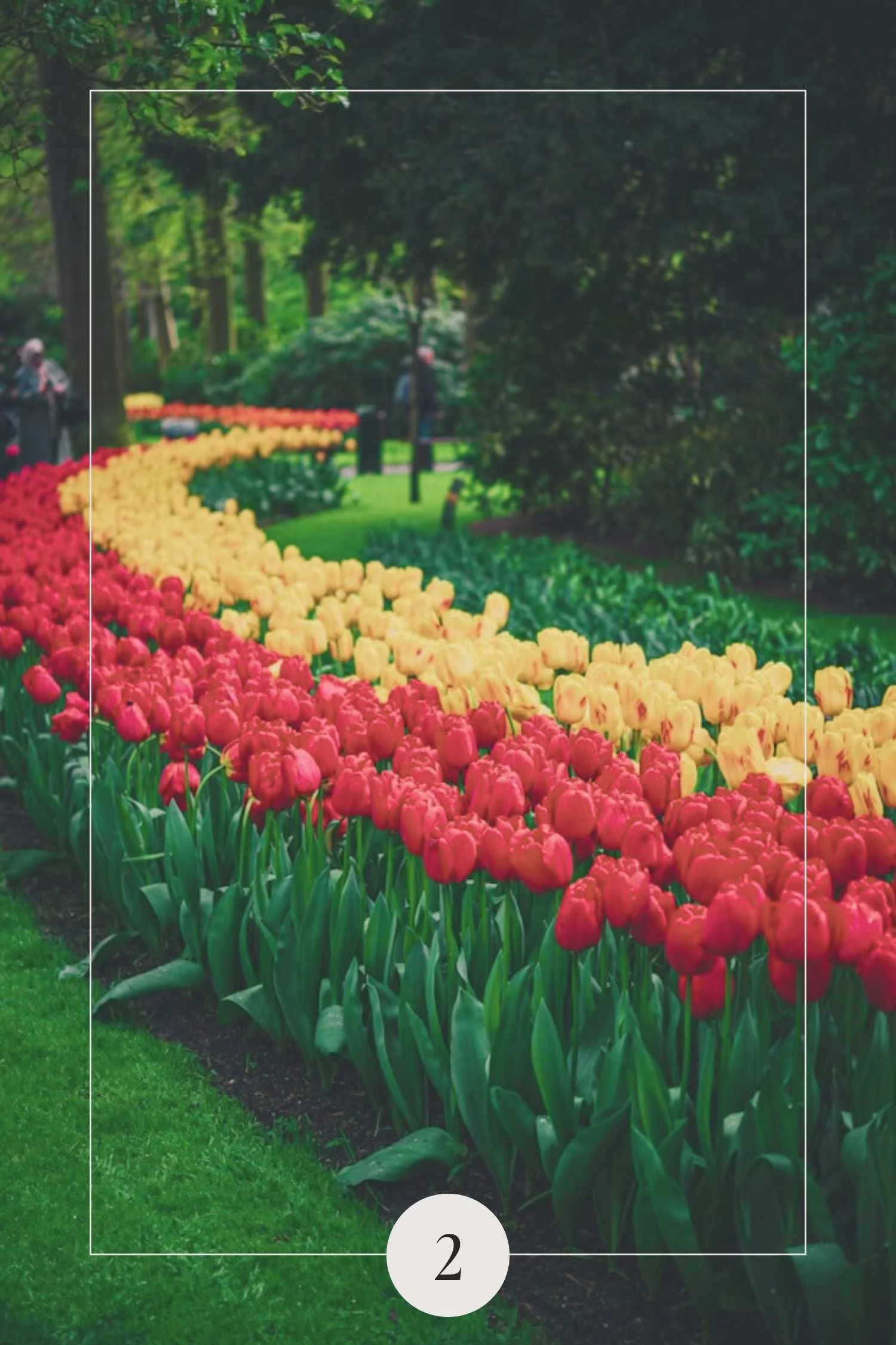 Keukenhof Gardens