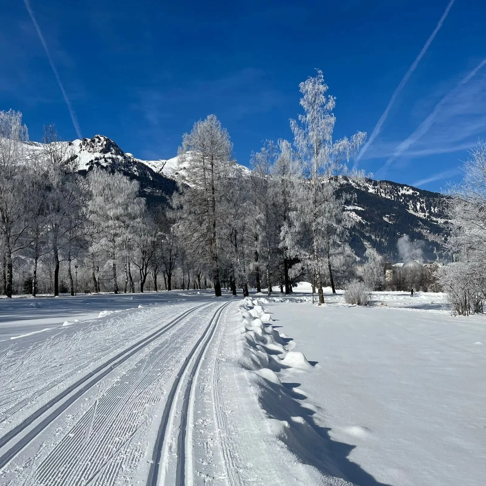 Groomed ski tracks for cross country skiing, one half of the winter sport biathlon.