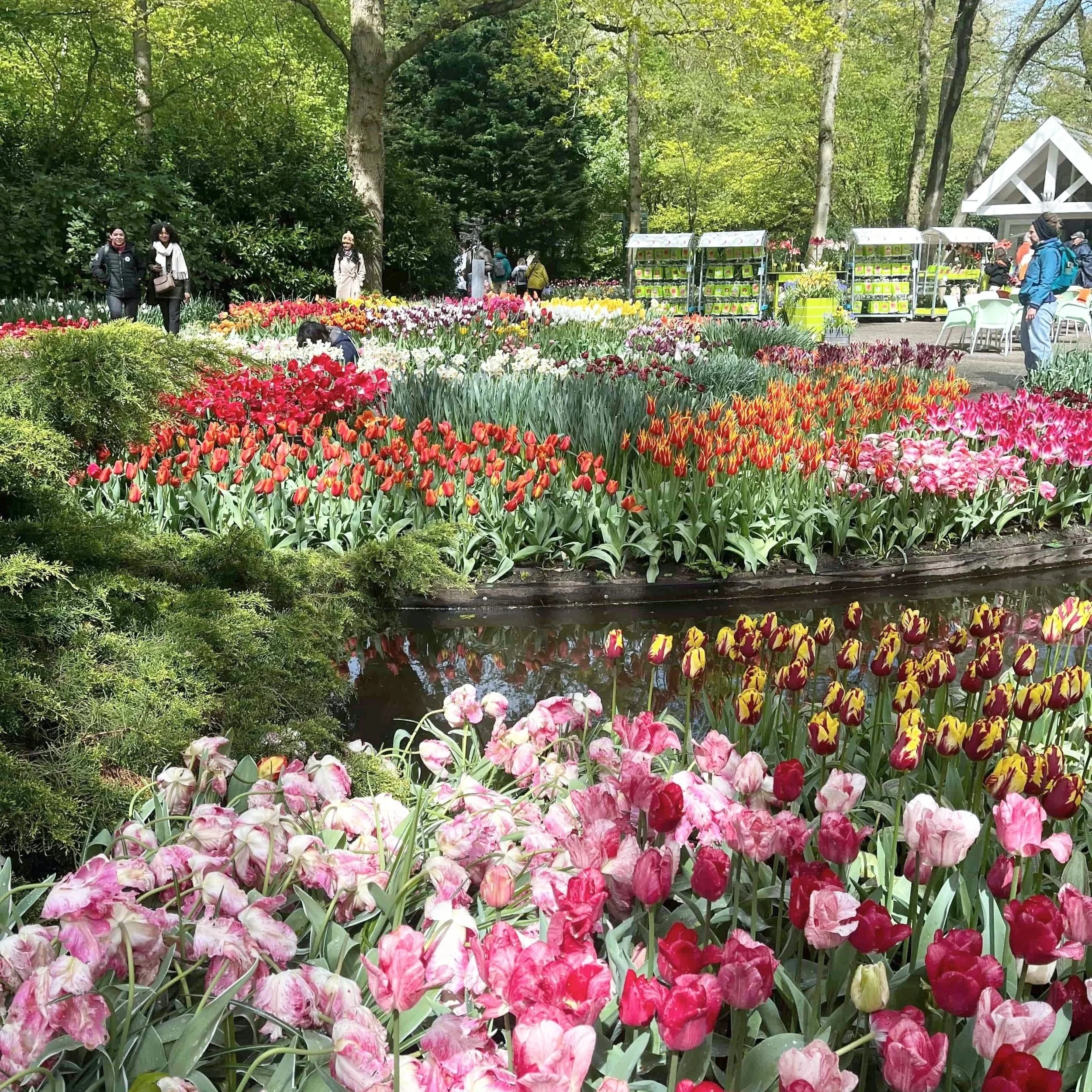 A canal winds through the flower beds in Keukenhof.