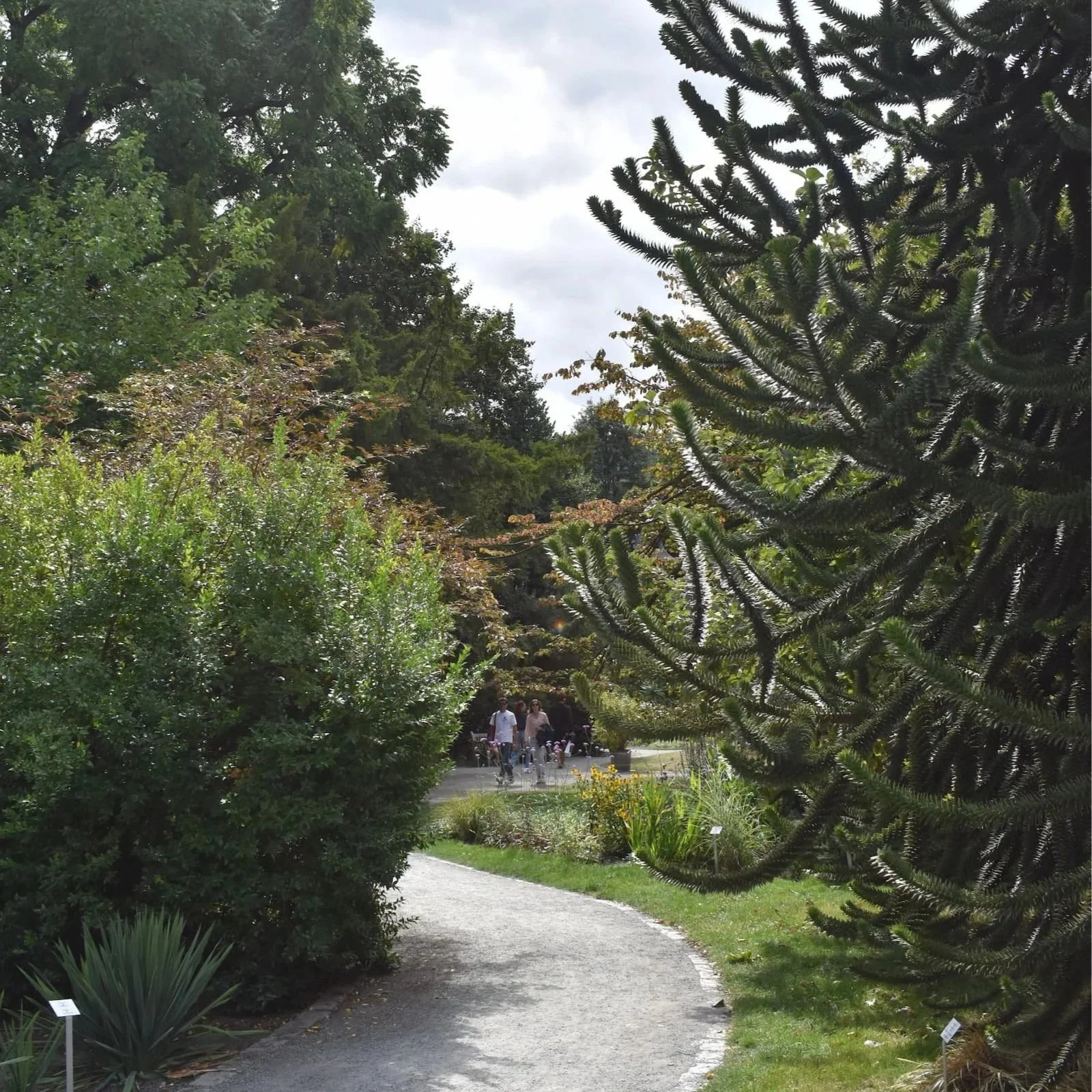A garden path in Den Botaniek in Antwerp.
