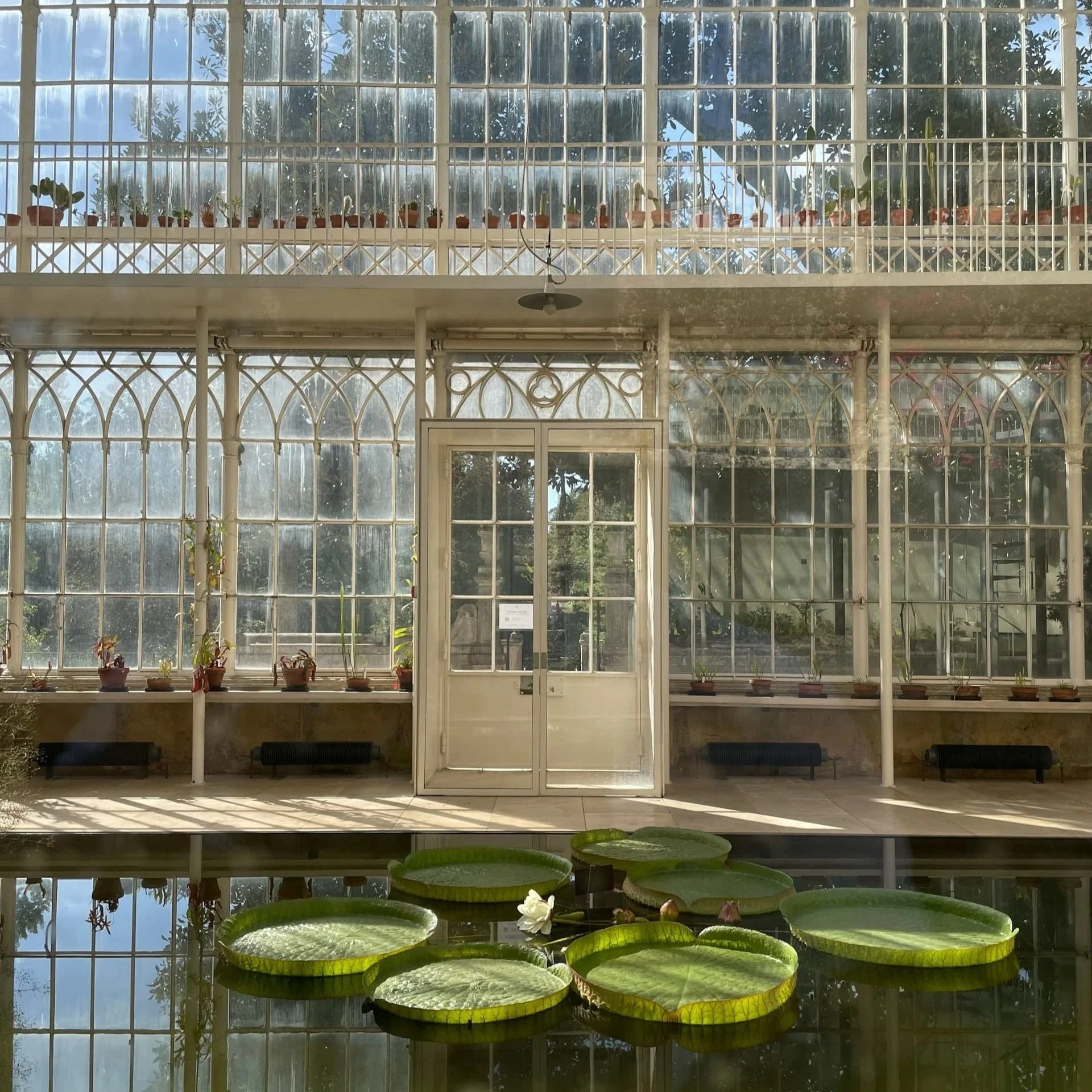 The botanical garden at the University of Coimbra.