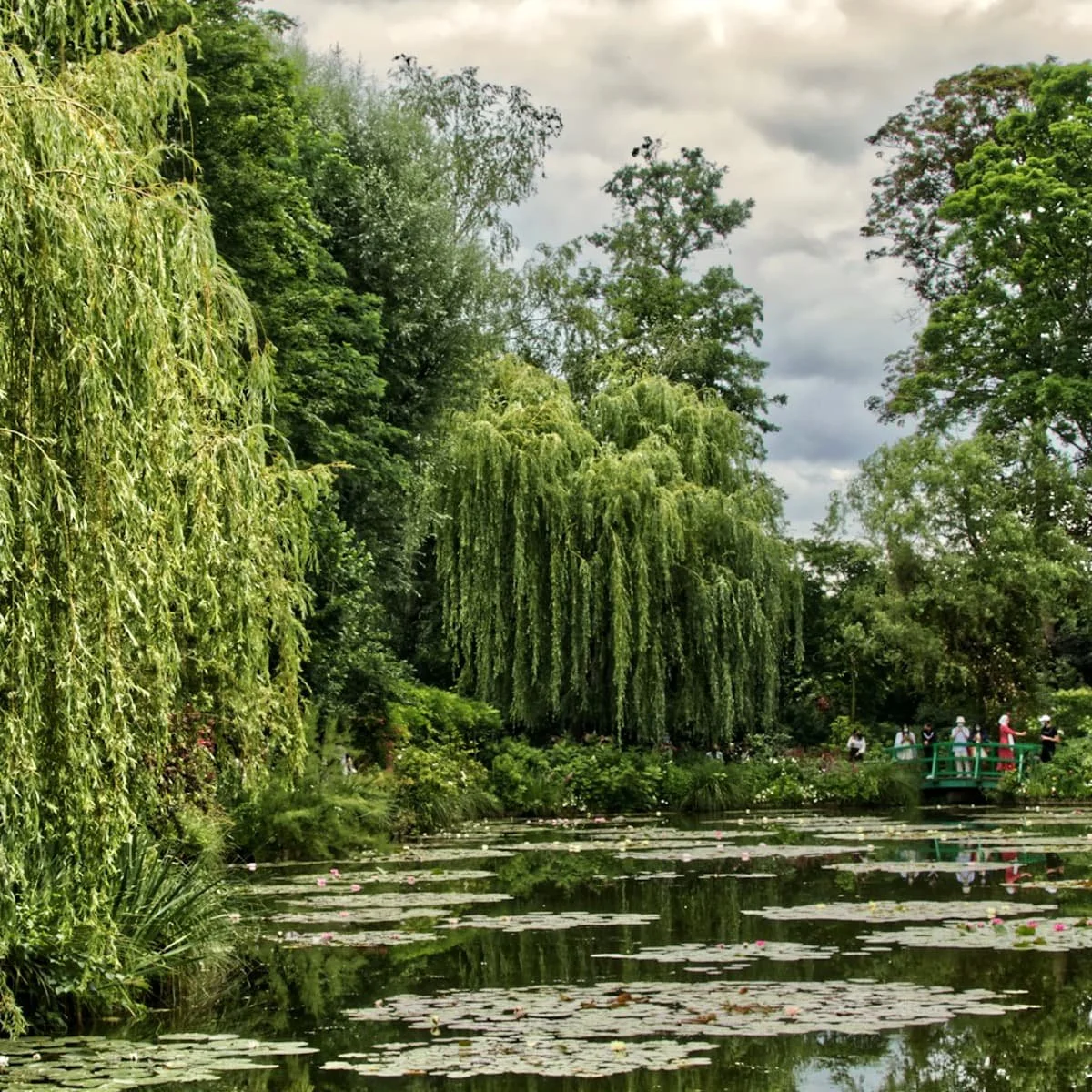The water garden at Giverny, Monet's Garden.