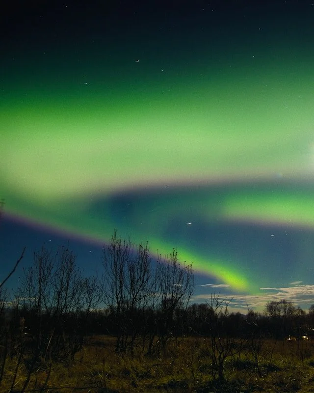 The Northern Lights in Tromø, Norway.