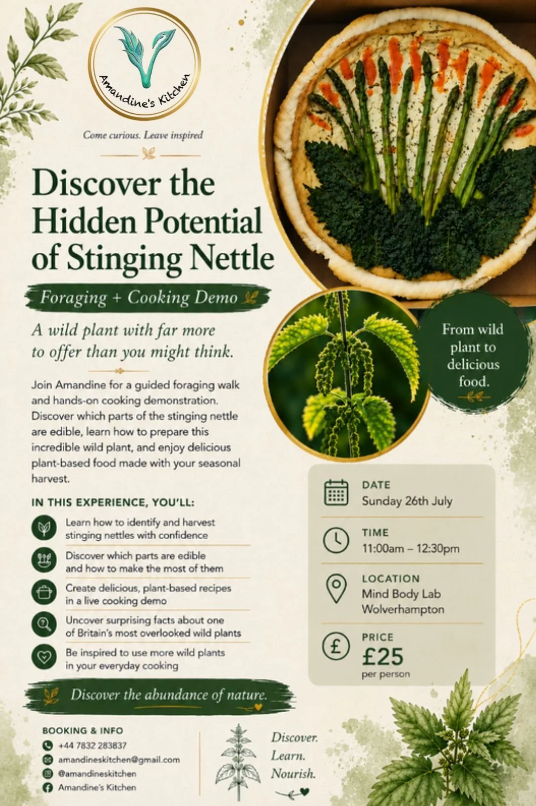 Stinging Nettle Workshop