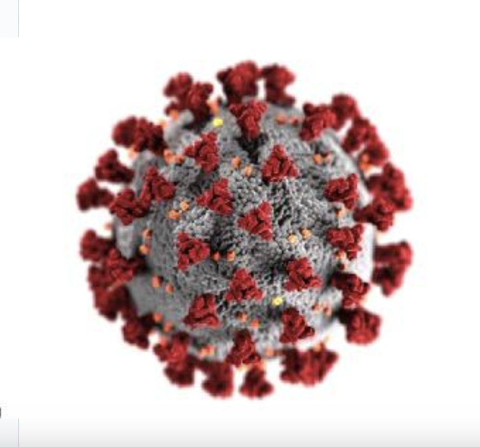 Screenshot 2026-01-11 at 10.22.57 AM.png