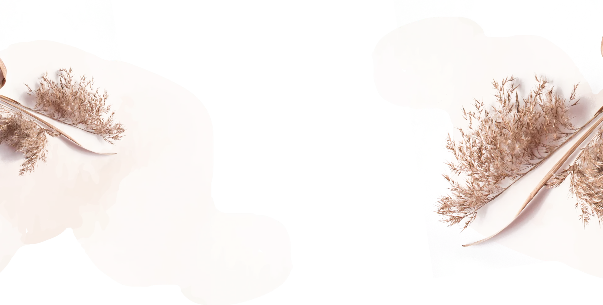 Nahaufnahme von trockenen, rosa-beigen Gräsern auf einem weißen/reduziertem Hintergrund.