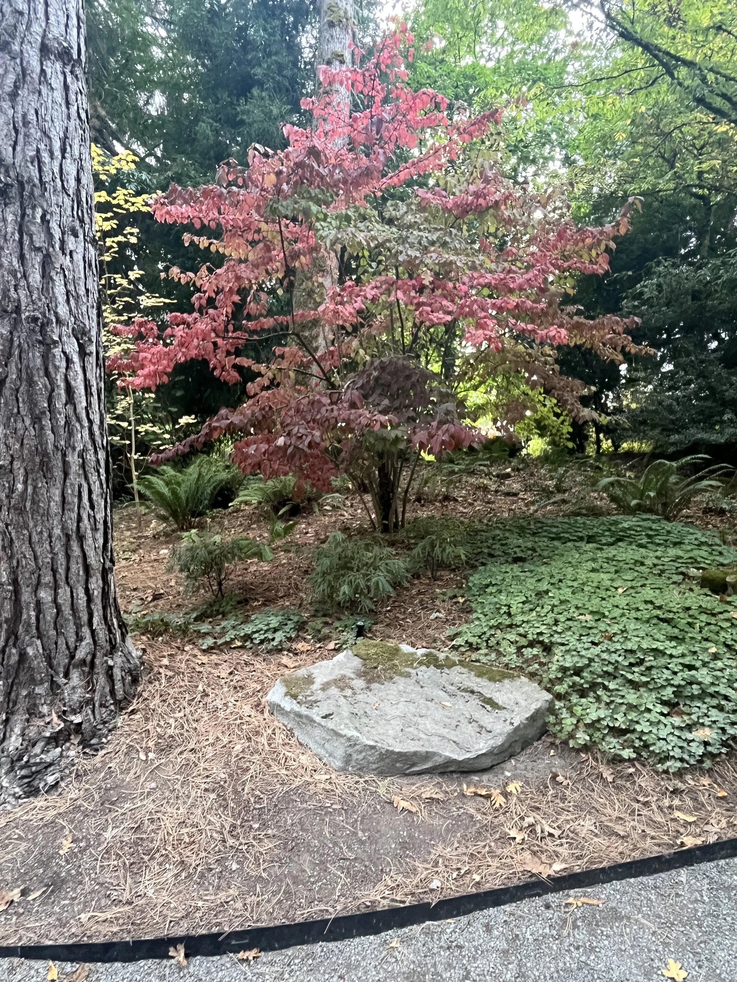 Be Intentional with change