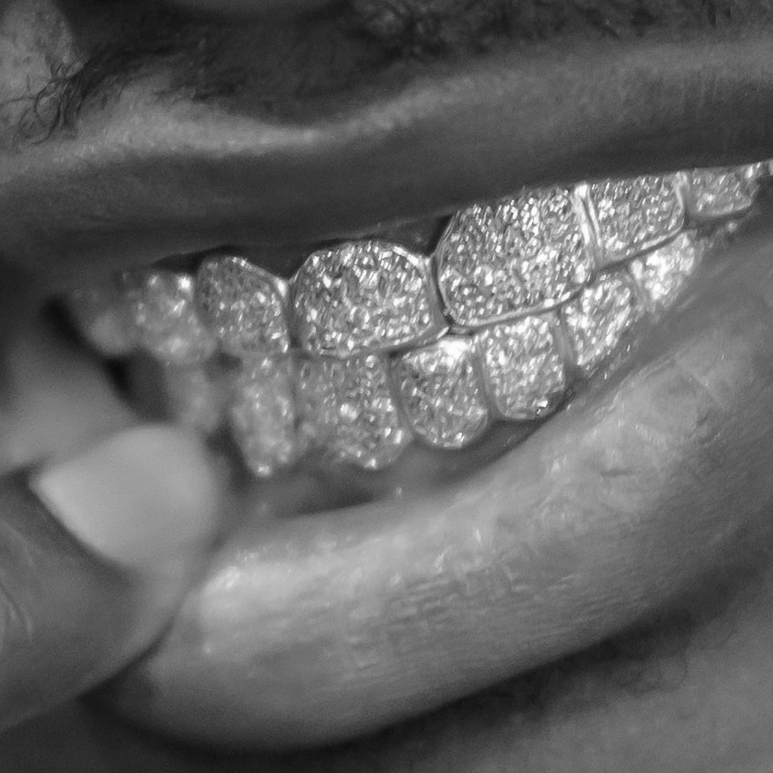 Teeth-07.png