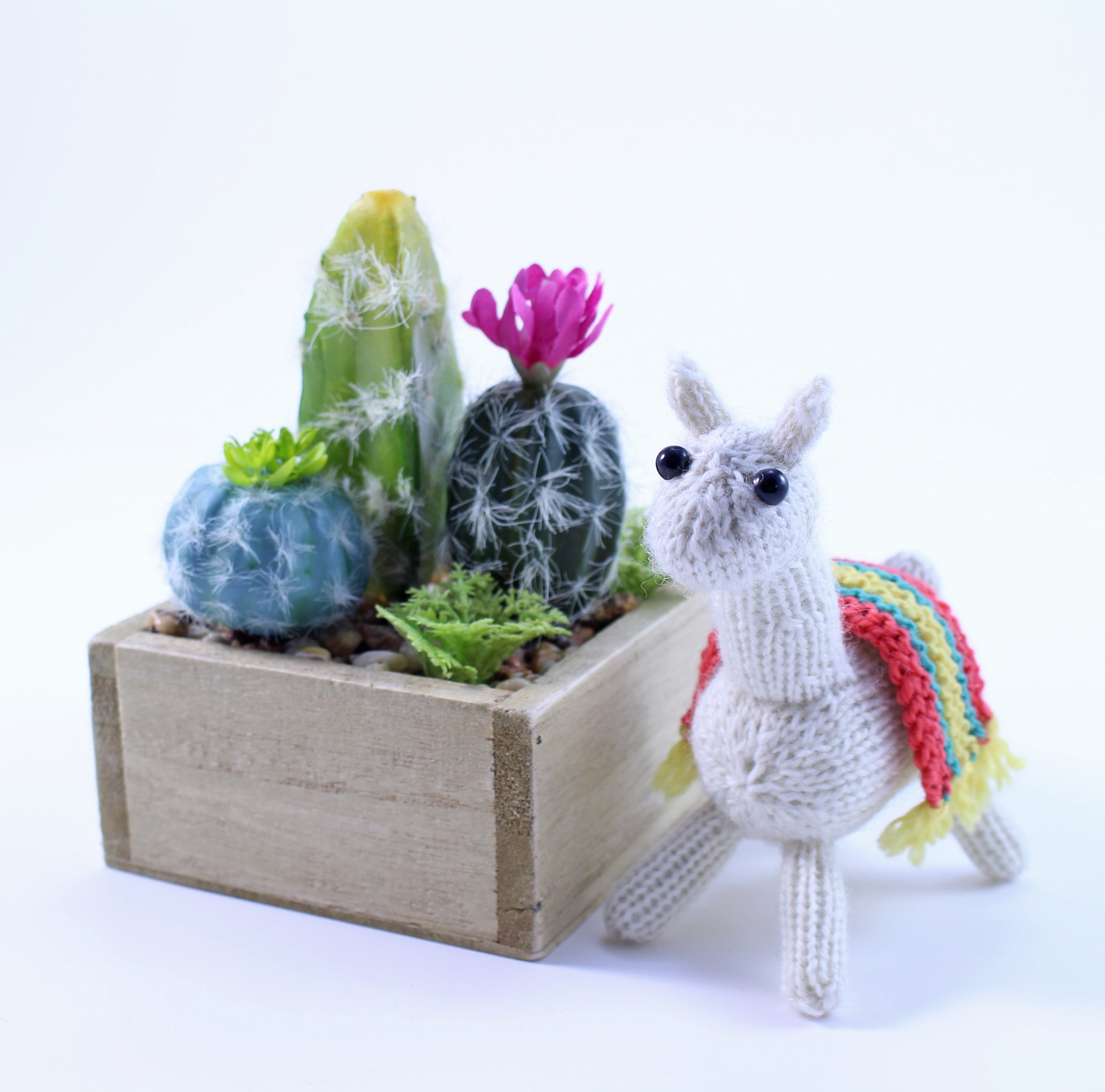 llamawithwhitebackgroundcacti.jpg