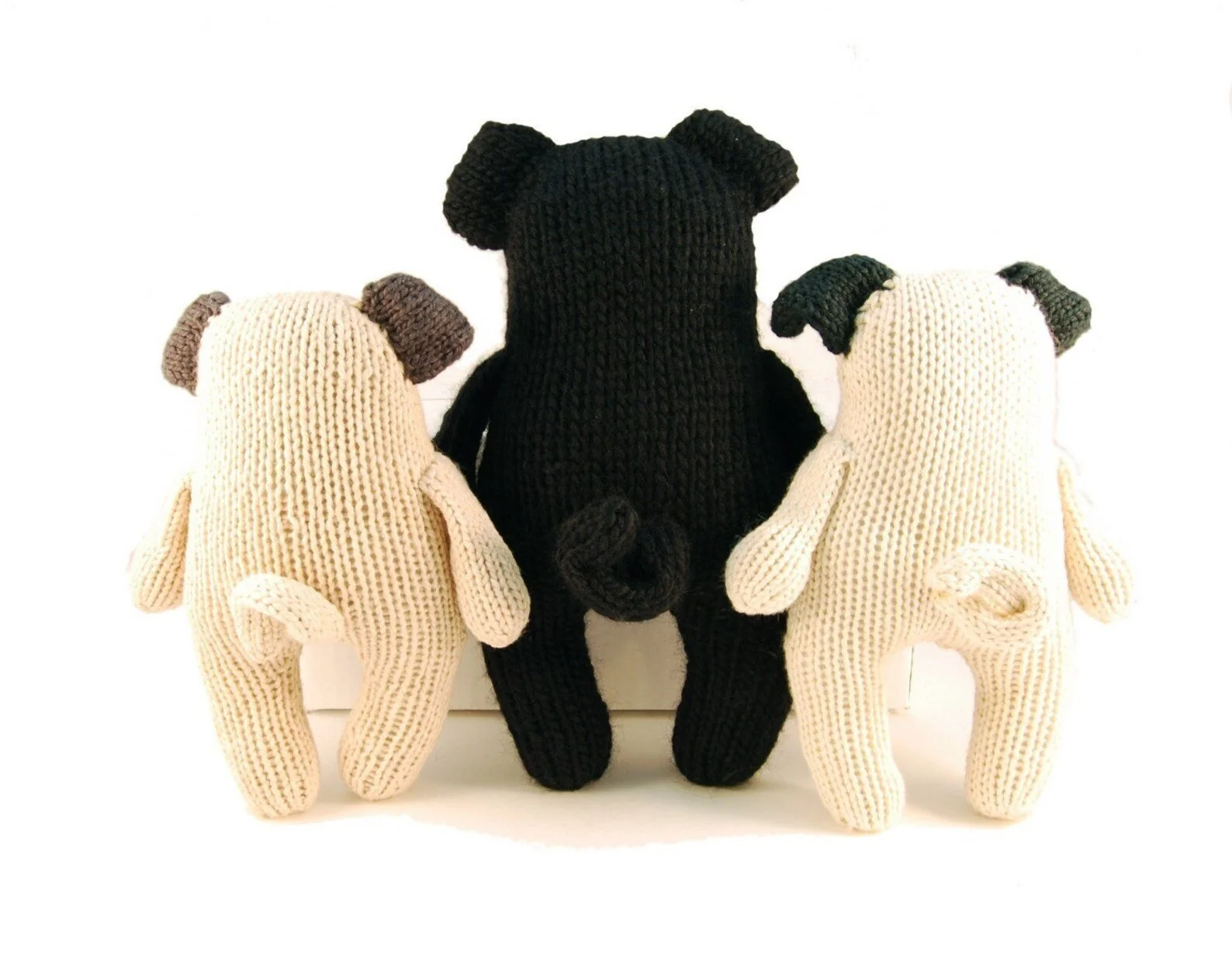 Wasabi The Pug 5.jpeg