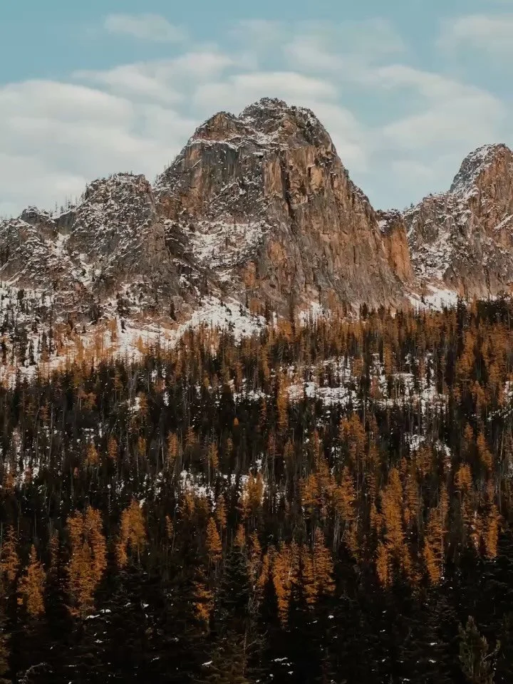 Out of the house on time? ❌
Avoid extra delays to ensure arrival for best light? ❌
Stay warm and dry? ❌

Gonna solely remember that we had the best time because we went outside together? ✅

Just gotta go