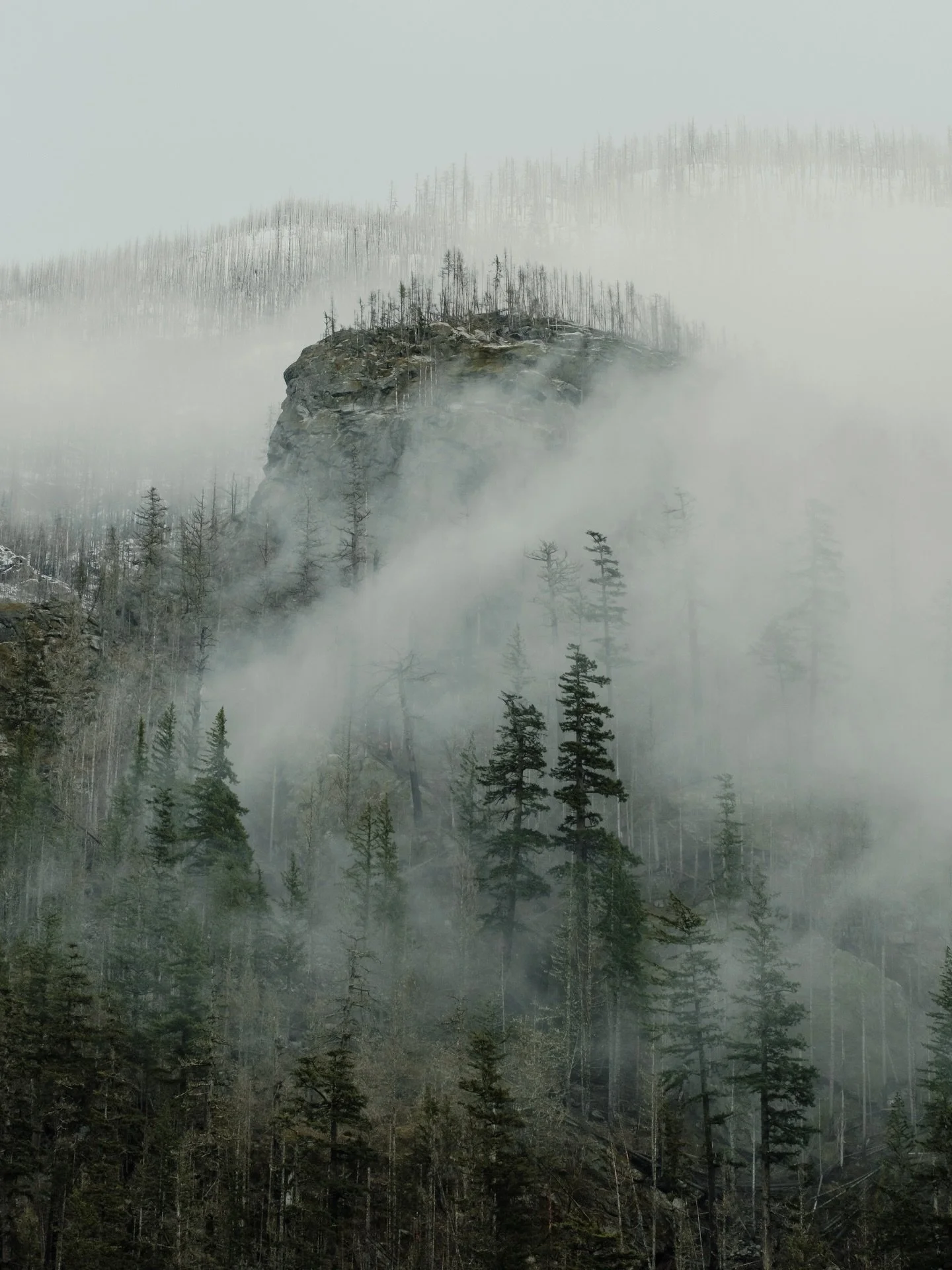 Abstract details in the glory of a normal &ldquo;boring and dreary&rdquo; PNW day
