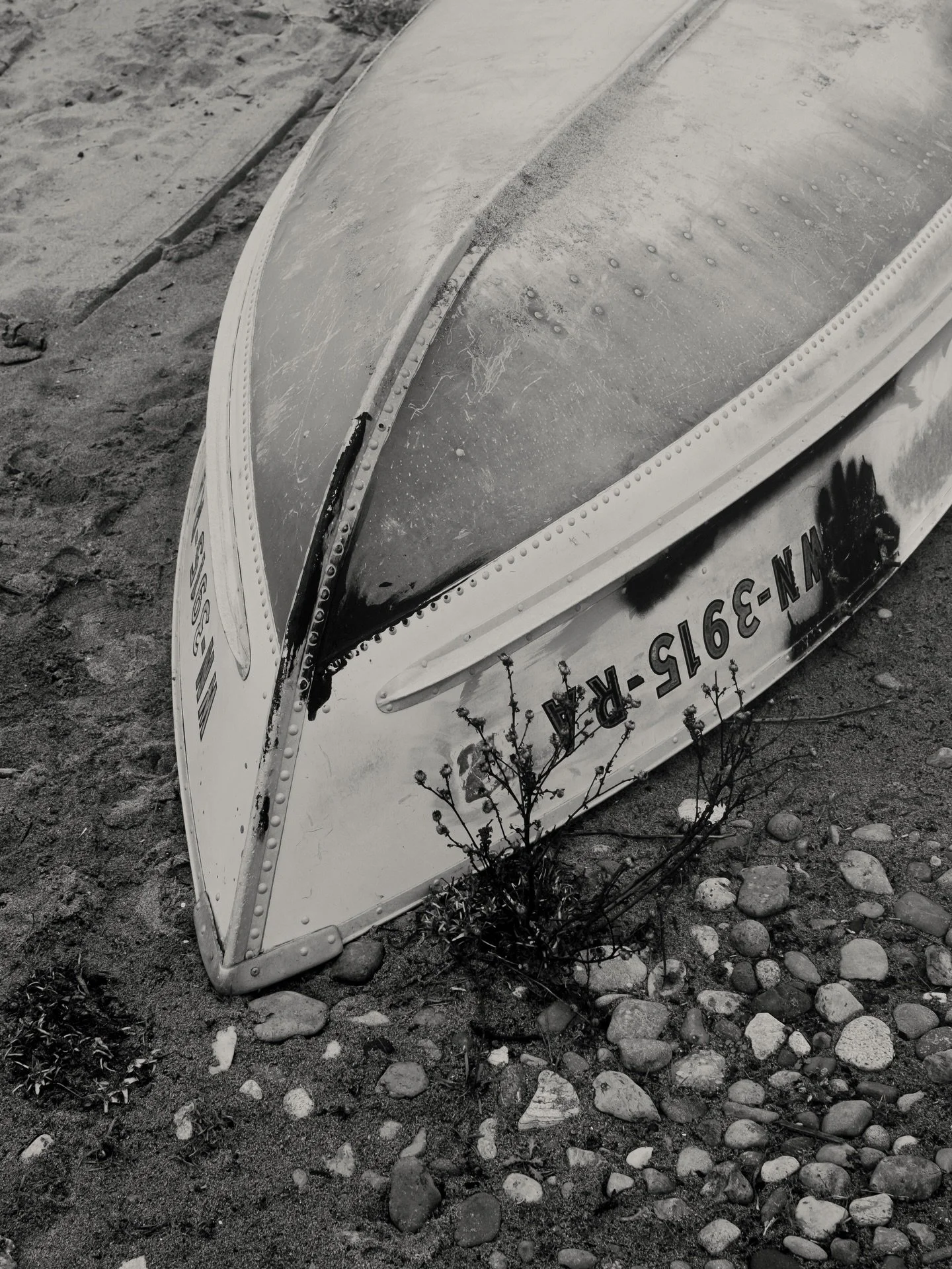 Probably should&rsquo;ve hit the white borders for these ones.
Light has been flat but the vibes have been high. 
Quiet and simple days around town with mini me >