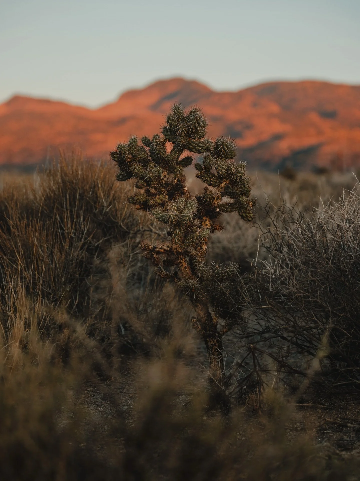 Sunset caused freeway shoulder sesh
&hellip;not in a grocery store parking lot so let&rsquo;s gooo