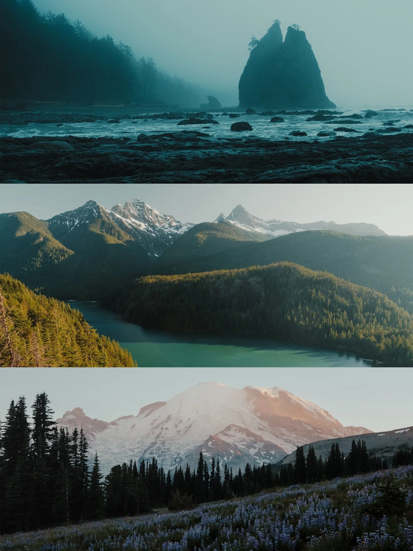 This year&rsquo;s National Parks pass arrived feeling a little ummm&hellip; ✨less inspired✨&hellip; than the places it represents.

Our parks deserve better.

Washington is home to three national parks, each wildly different, each deeply personal to 