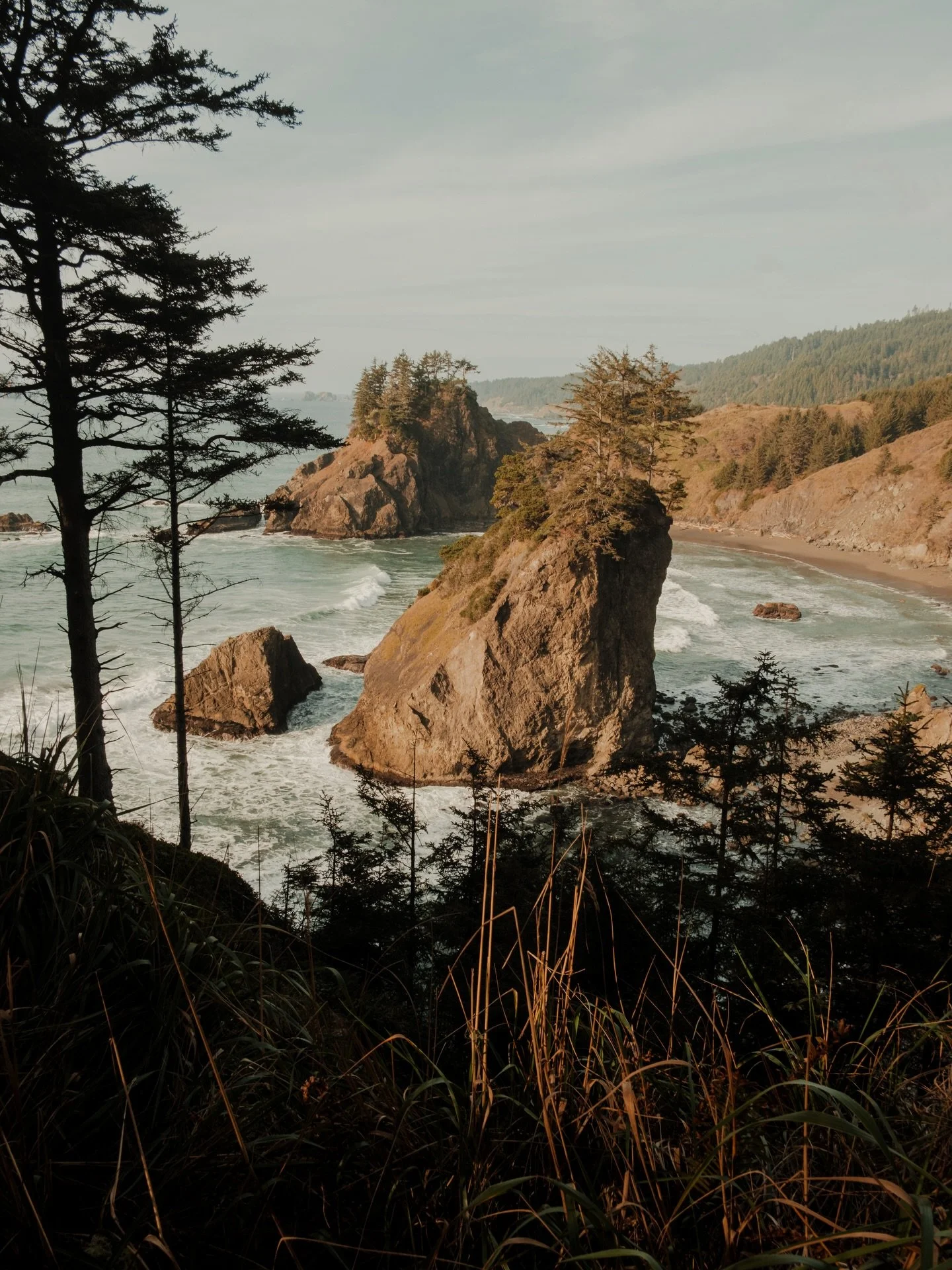 Little windows along the coast during a sunshine break.
Spent a lot of this recent trip to the Oregon Coast chasing places that were, for the most part, new to me. While it&rsquo;s an annual trip, I can&rsquo;t believe how endless such a small portio