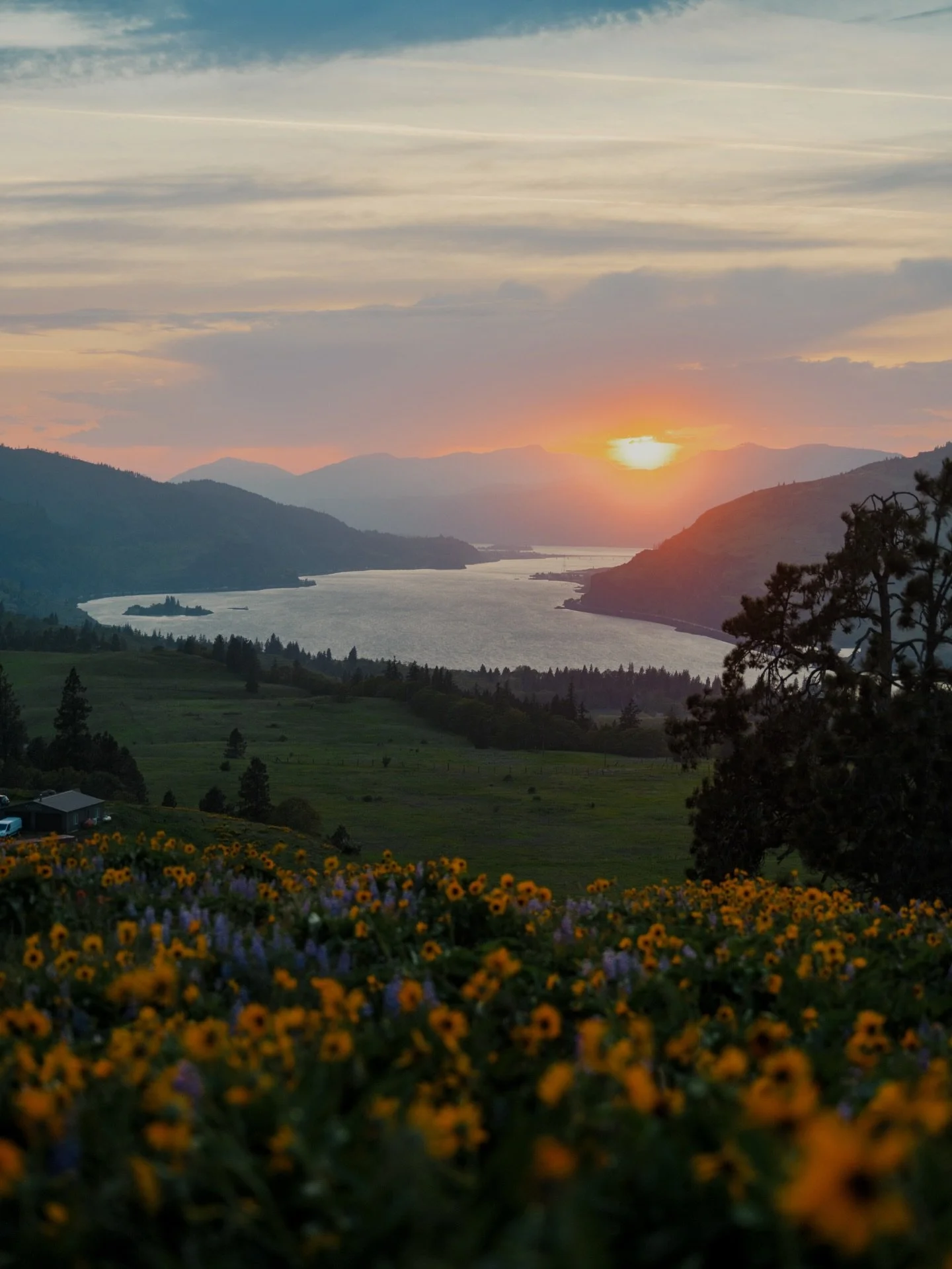 Wildness of the Balsamroot bloom in the Columbia River Gorge is unmatched.

Early arrival of this season has me thinking we&rsquo;ve got to be near the return of this mayhem! Both sides of the river go absolutely bonkers with color. If you haven&rsqu