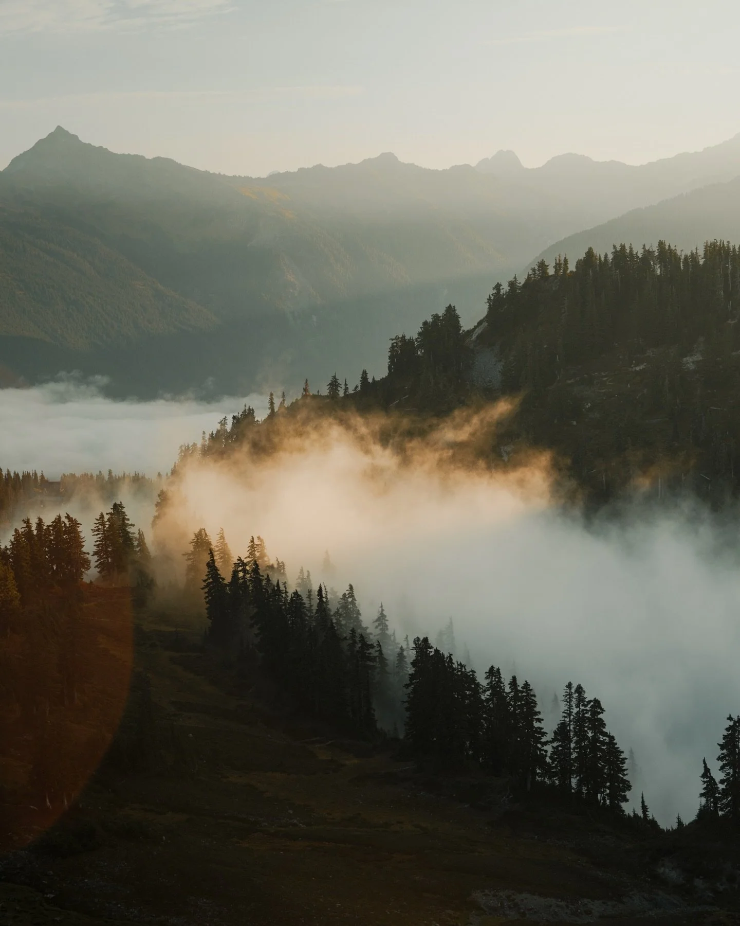 Reflecting on Earth today, looking through a brief few things I&rsquo;ve been able to create in the last six months on this planet. 

It&rsquo;s sad that earth day posts can&rsquo;t solely be about celebrating something we love and respect daily. I t