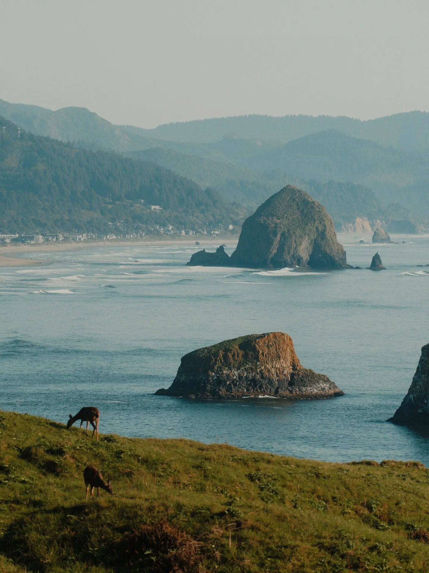 GOONIES SAY NEVER DIE

been a few months since I&rsquo;ve been to the coast and oh doggy do I miss it! 

Last time I posted these frames I got a lot of questions asking if this was the spot from The Goonies and the answer is YES, sure is! Life is rea