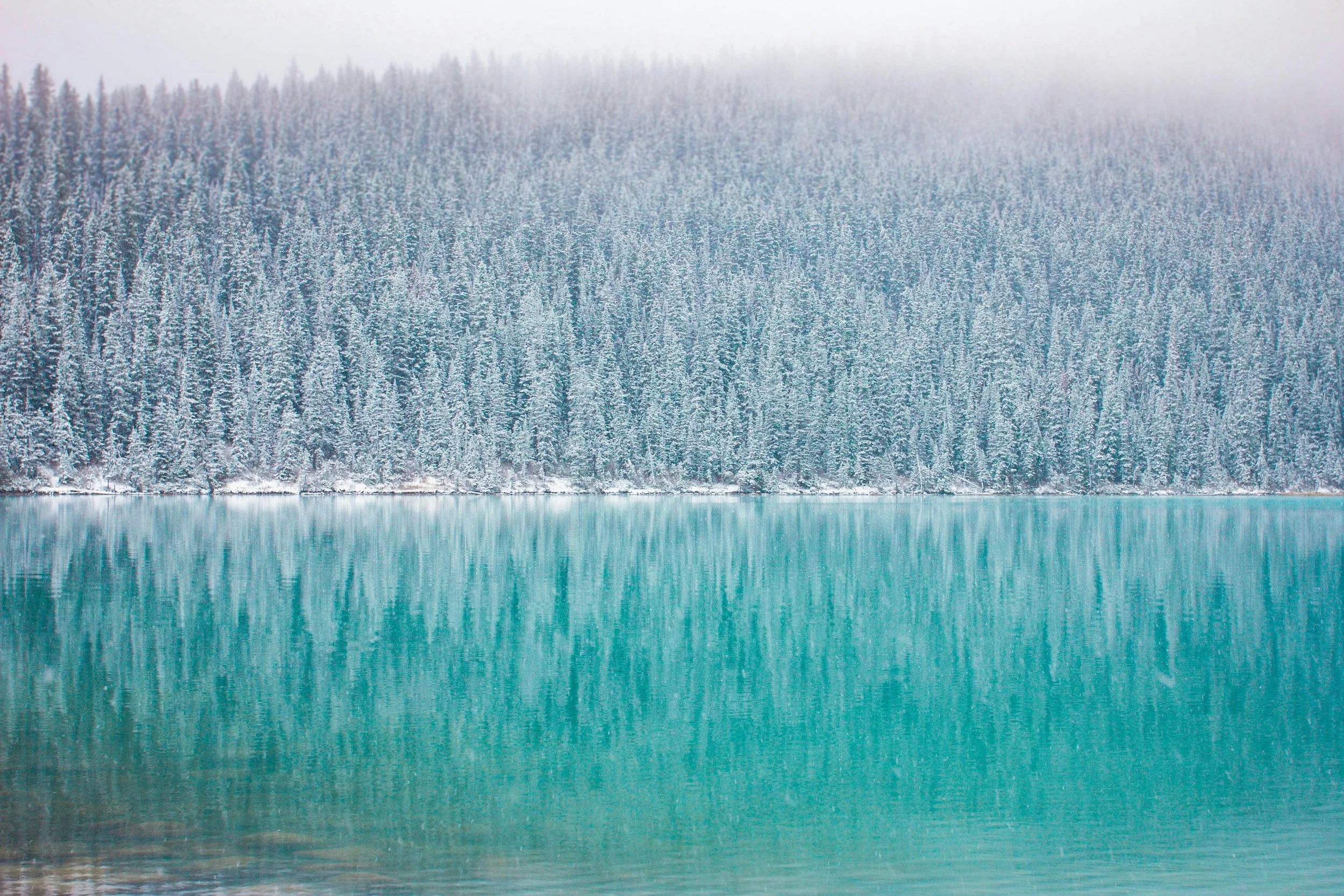 Frozen lake with a snow-covered pine forest in the background and mist in the air.